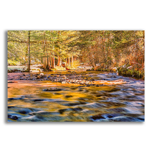 Epic Art 'Golden Hour River Reflection' by Mark A Paulda, Acrylic Glass Wall Art