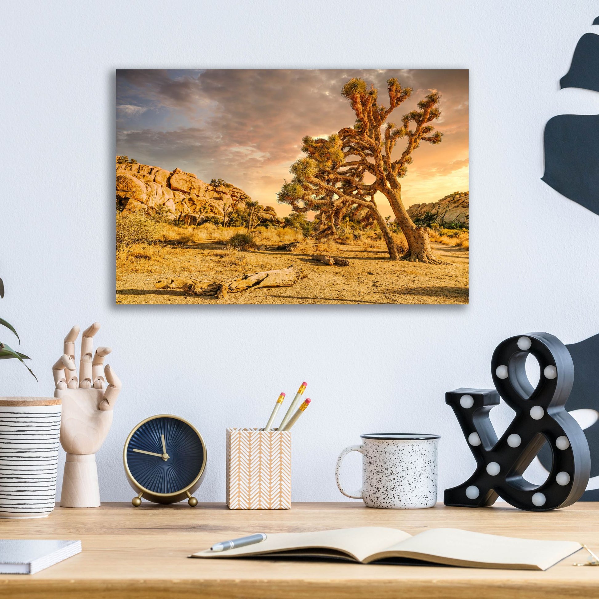 Epic Art 'Joshua Tree Golden Hour' by Mark A Paulda, Acrylic Glass Wall Art,16x12