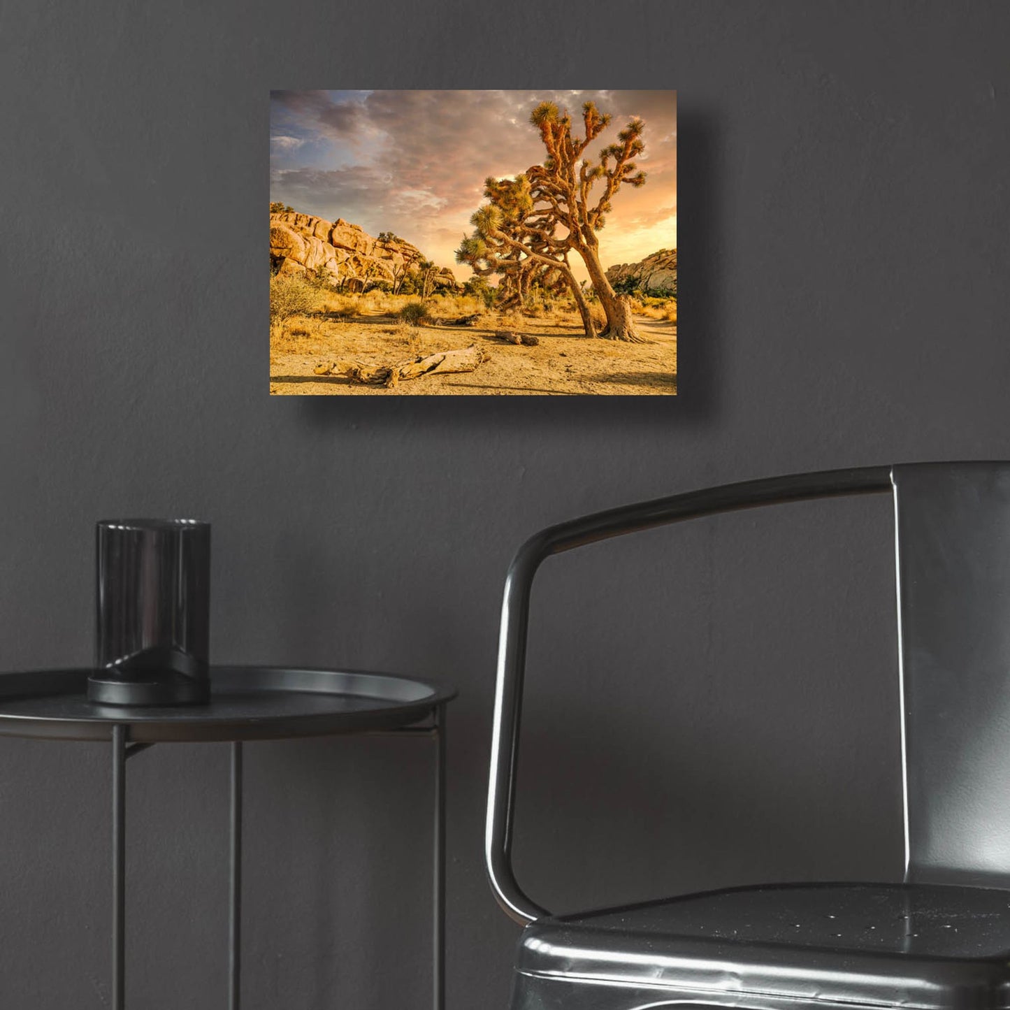 Epic Art 'Joshua Tree Golden Hour' by Mark A Paulda, Acrylic Glass Wall Art,16x12