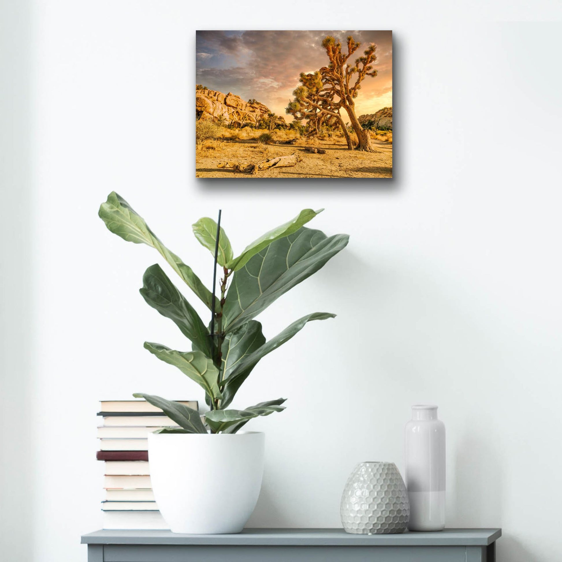 Epic Art 'Joshua Tree Golden Hour' by Mark A Paulda, Acrylic Glass Wall Art,16x12