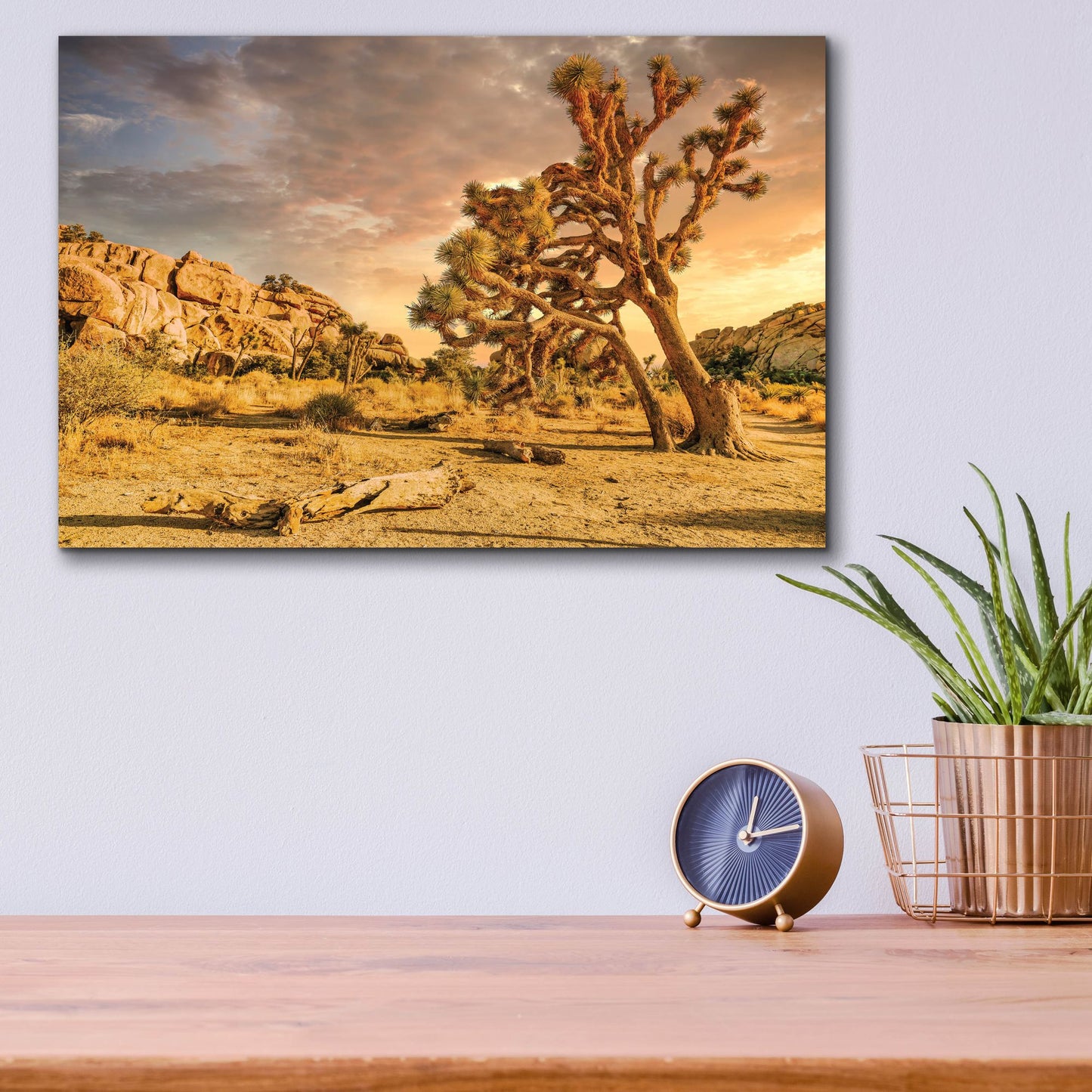 Epic Art 'Joshua Tree Golden Hour' by Mark A Paulda, Acrylic Glass Wall Art,16x12