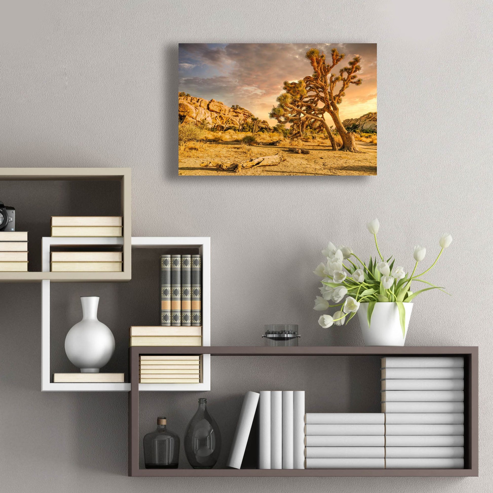 Epic Art 'Joshua Tree Golden Hour' by Mark A Paulda, Acrylic Glass Wall Art,24x16