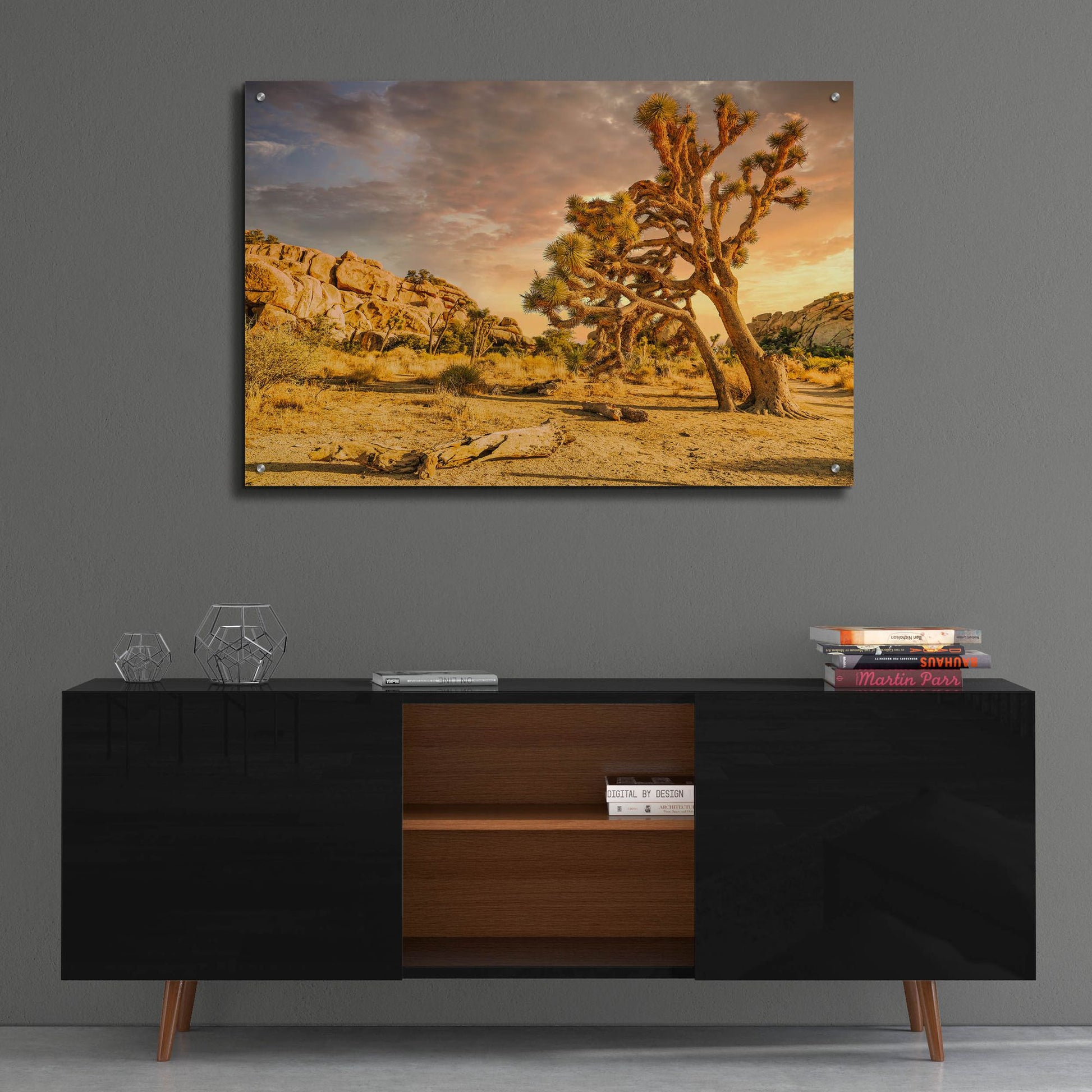 Epic Art 'Joshua Tree Golden Hour' by Mark A Paulda, Acrylic Glass Wall Art,36x24