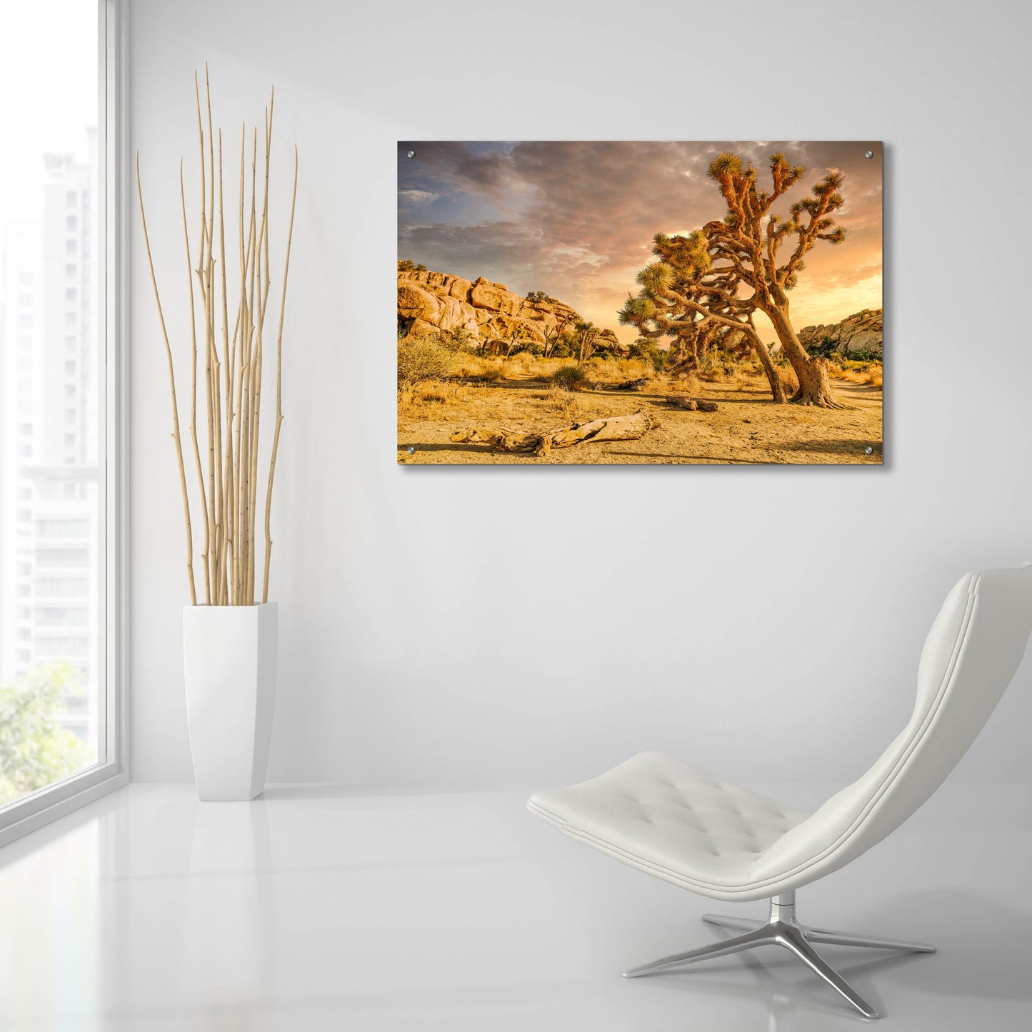 Epic Art 'Joshua Tree Golden Hour' by Mark A Paulda, Acrylic Glass Wall Art,36x24