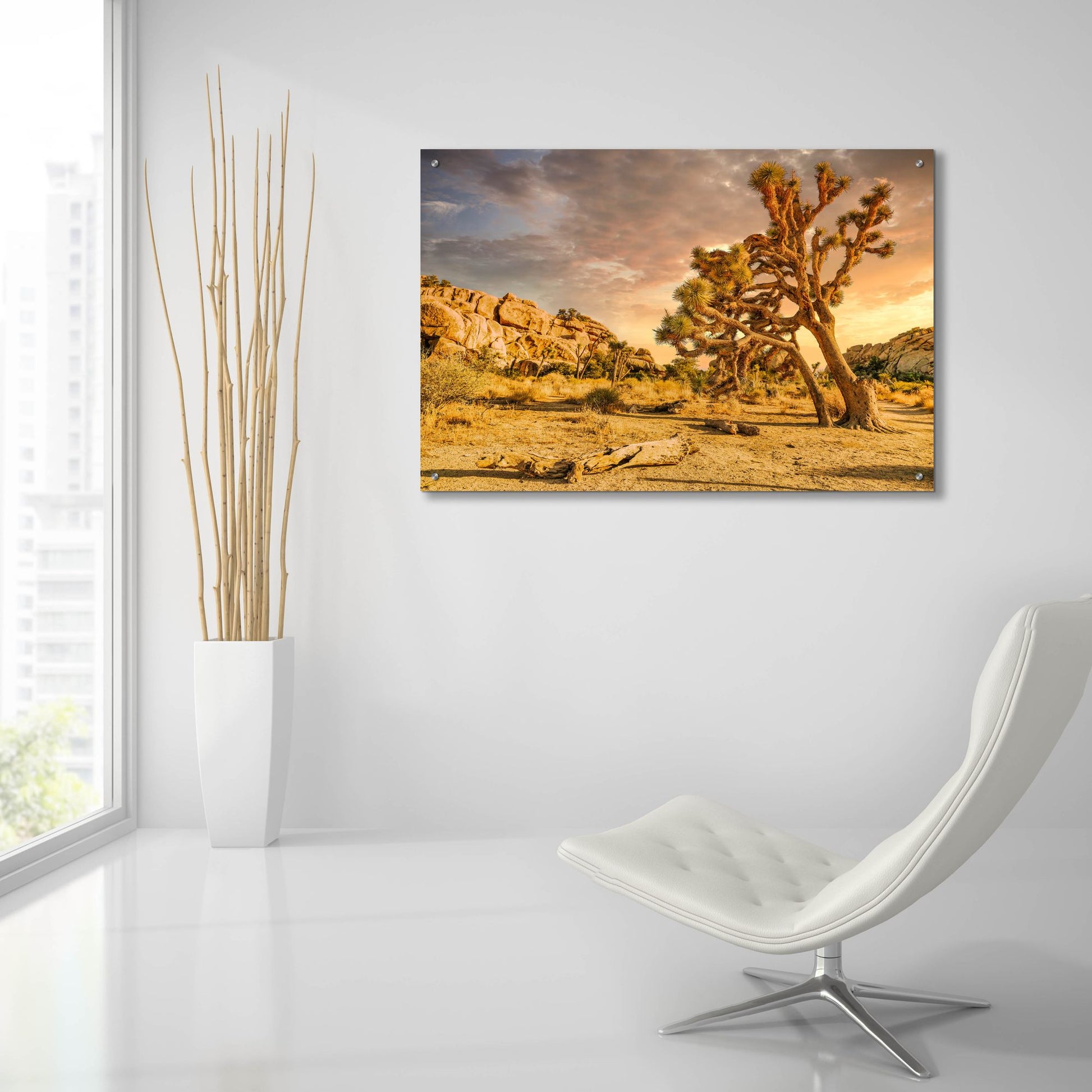 Epic Art 'Joshua Tree Golden Hour' by Mark A Paulda, Acrylic Glass Wall Art,36x24