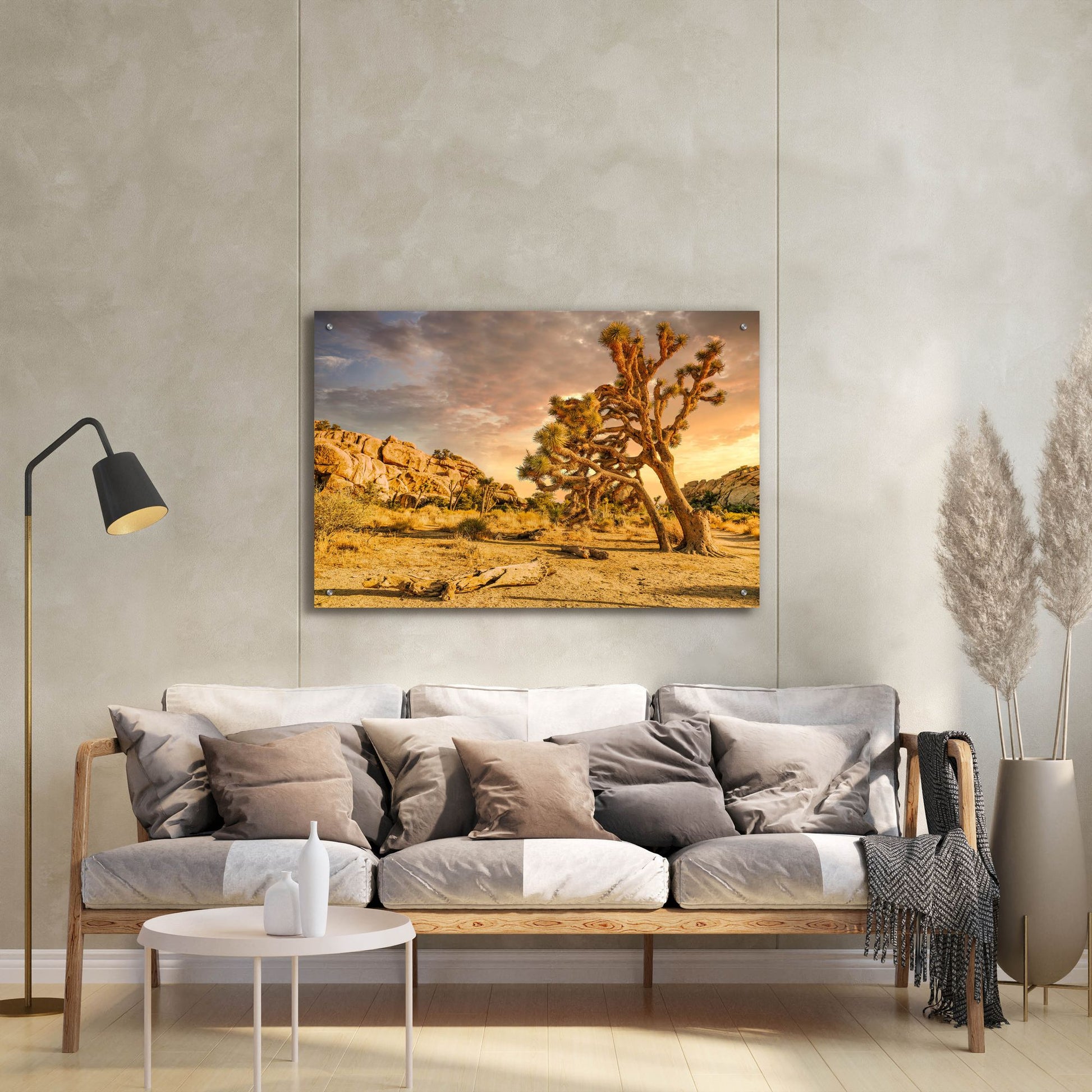 Epic Art 'Joshua Tree Golden Hour' by Mark A Paulda, Acrylic Glass Wall Art,36x24