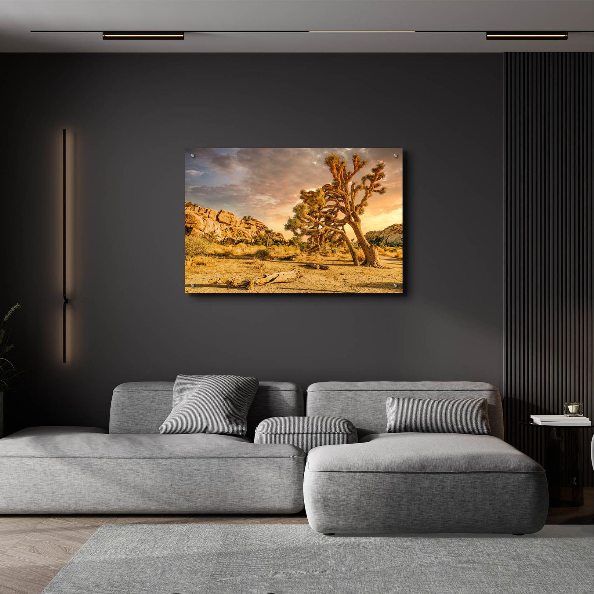 Epic Art 'Joshua Tree Golden Hour' by Mark A Paulda, Acrylic Glass Wall Art,36x24