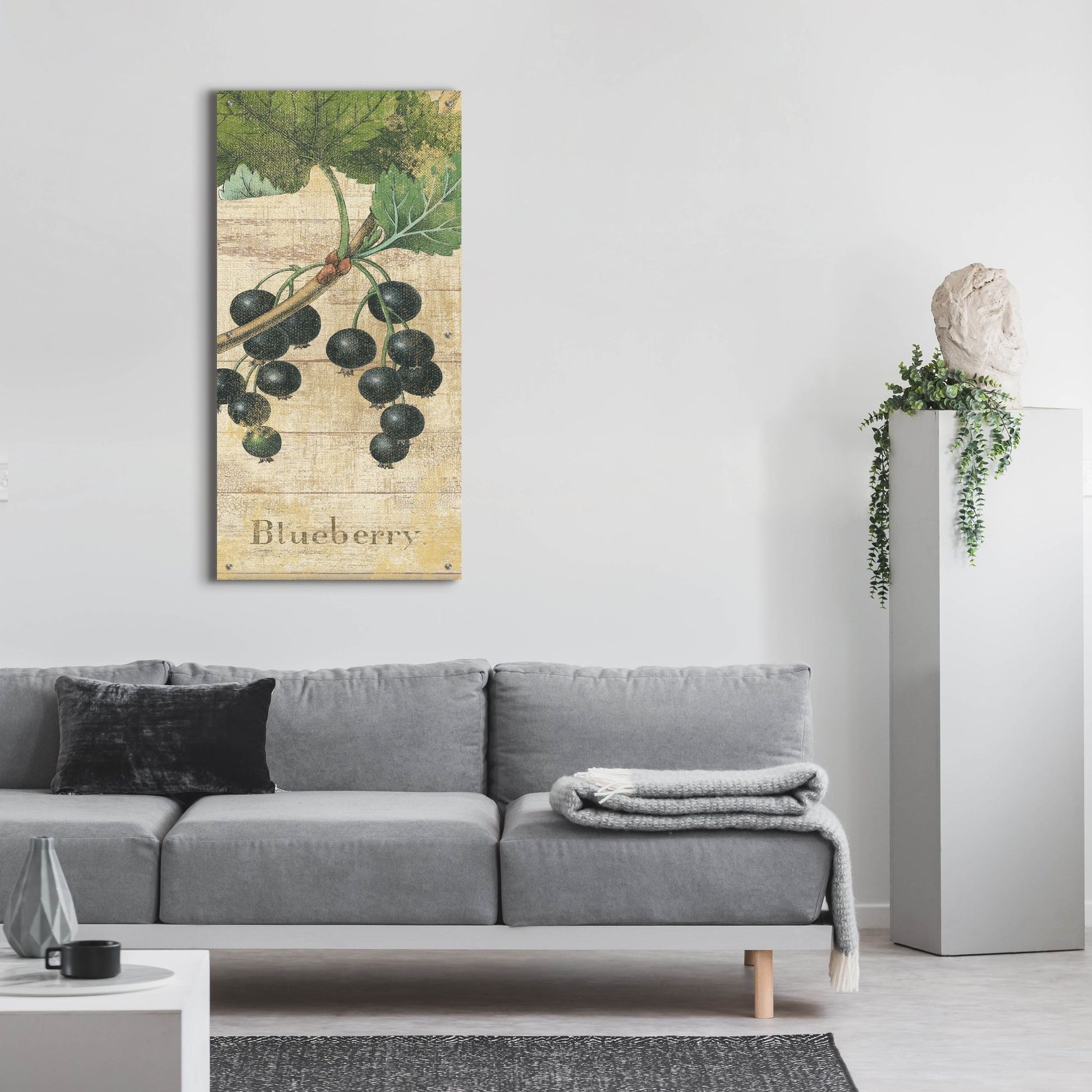 Epic Art 'Country Fruits I' by NBL Studio, Acrylic Glass Wall Art,24x48