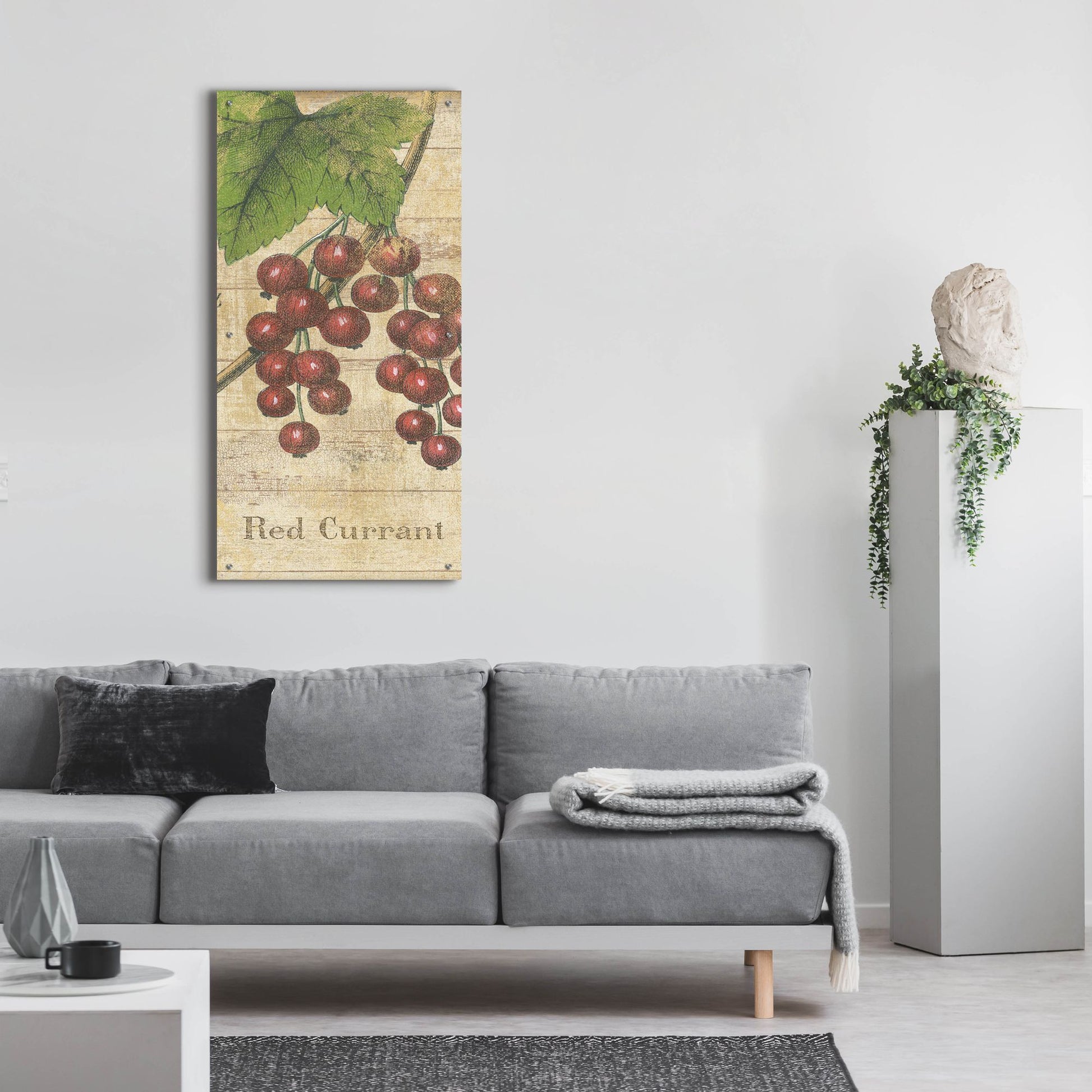 Epic Art 'Country Fruits II' by NBL Studio, Acrylic Glass Wall Art,24x48