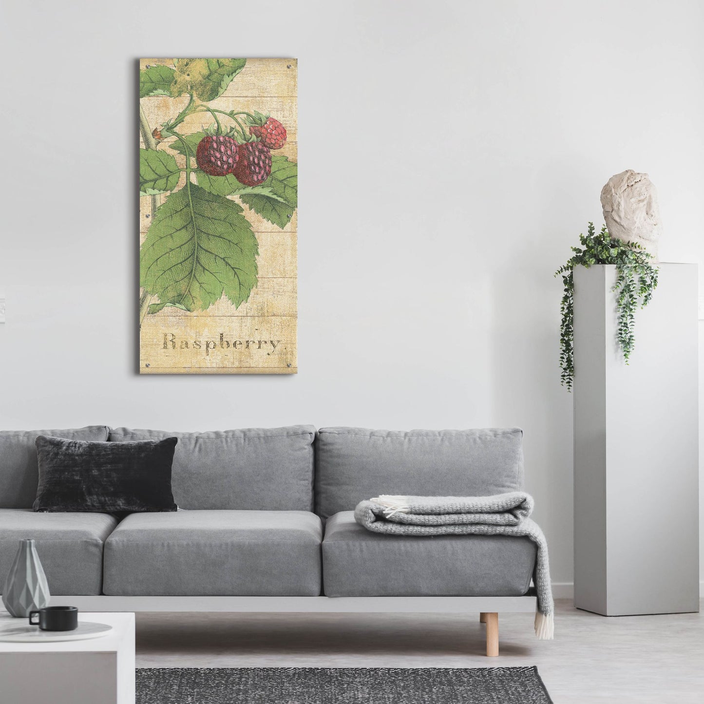 Epic Art 'Country Fruits III' by NBL Studio, Acrylic Glass Wall Art,24x48