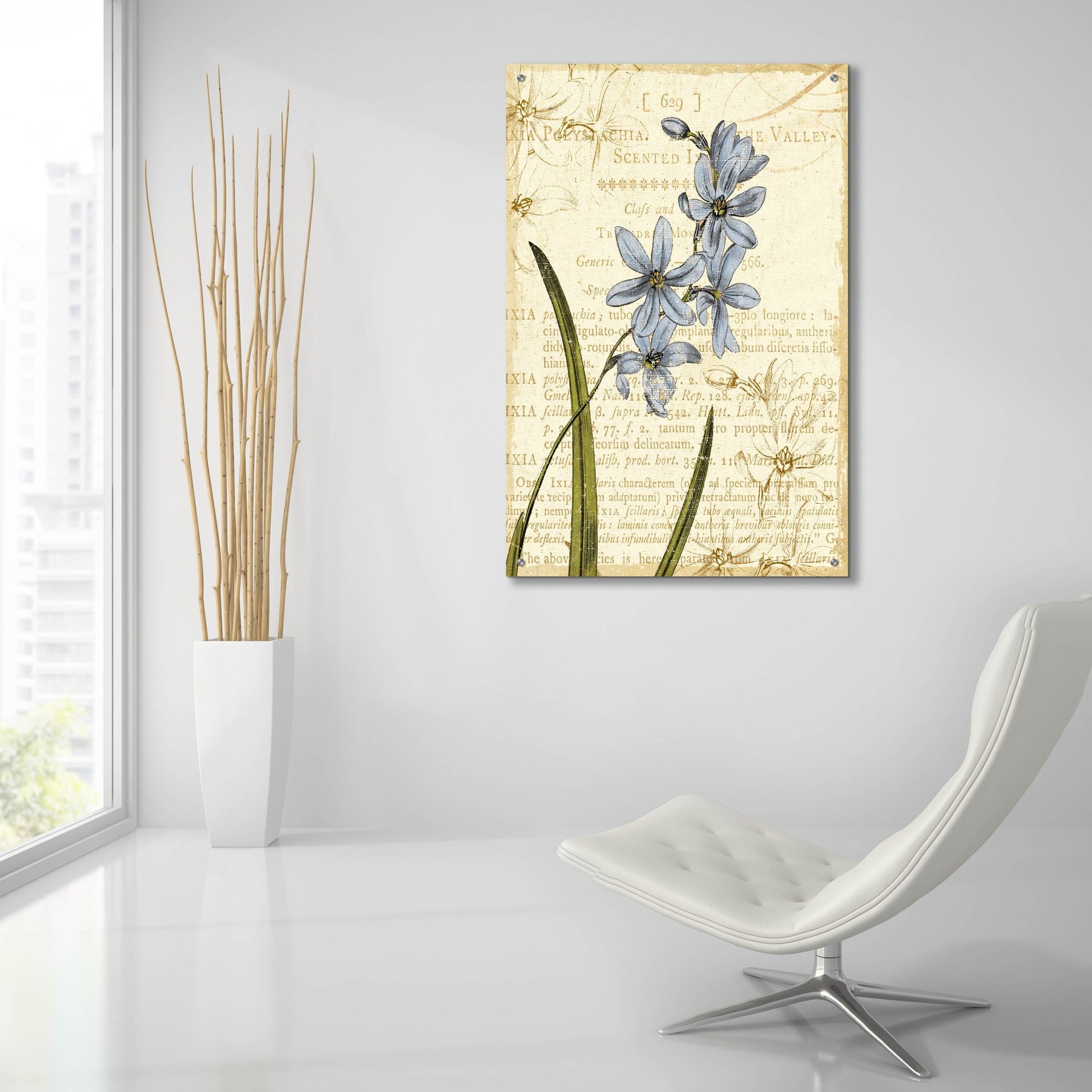 Epic Art 'Floral Studies I' by NBL Studio, Acrylic Glass Wall Art,24x36