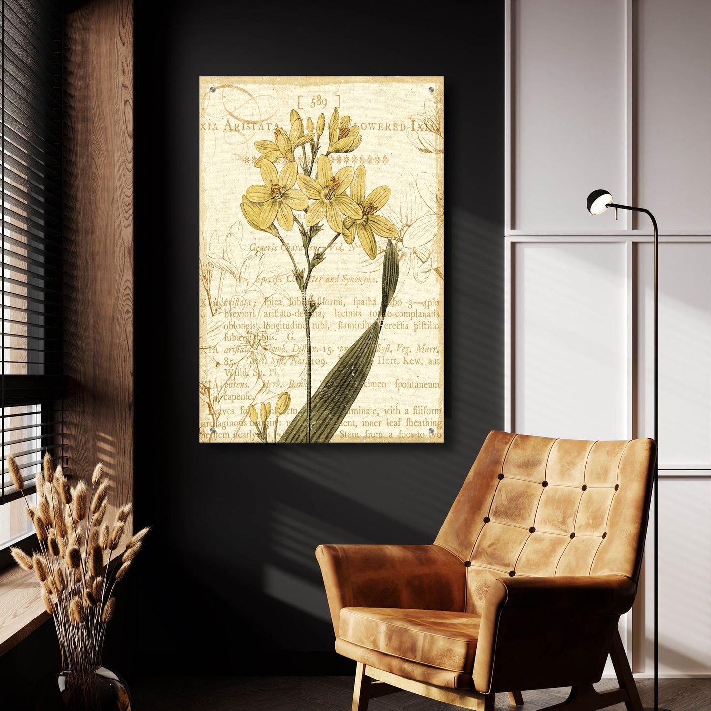 Epic Art 'Floral Studies II' by NBL Studio, Acrylic Glass Wall Art,24x36