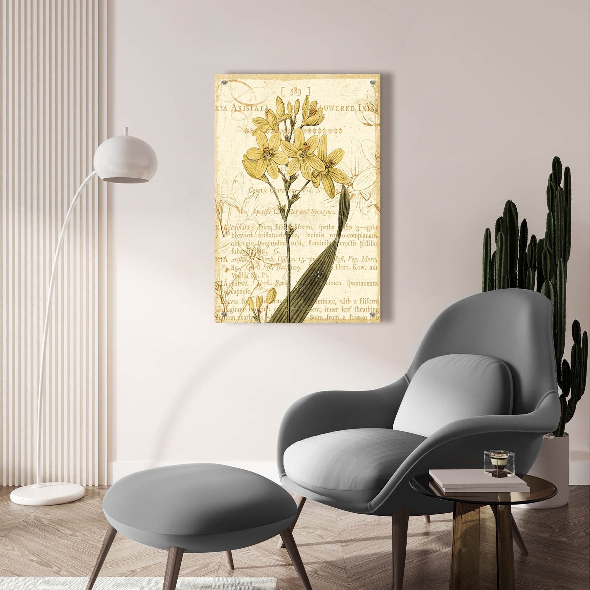 Epic Art 'Floral Studies II' by NBL Studio, Acrylic Glass Wall Art,24x36