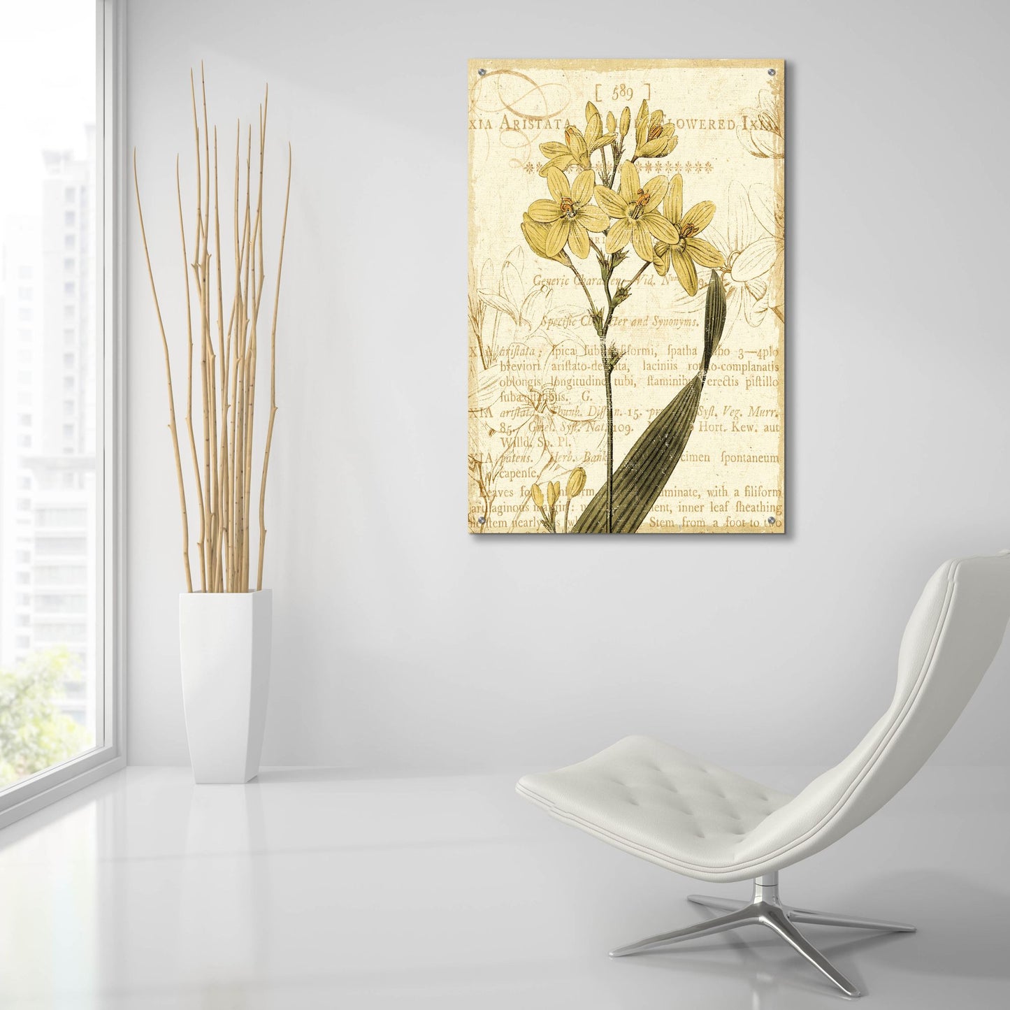 Epic Art 'Floral Studies II' by NBL Studio, Acrylic Glass Wall Art,24x36