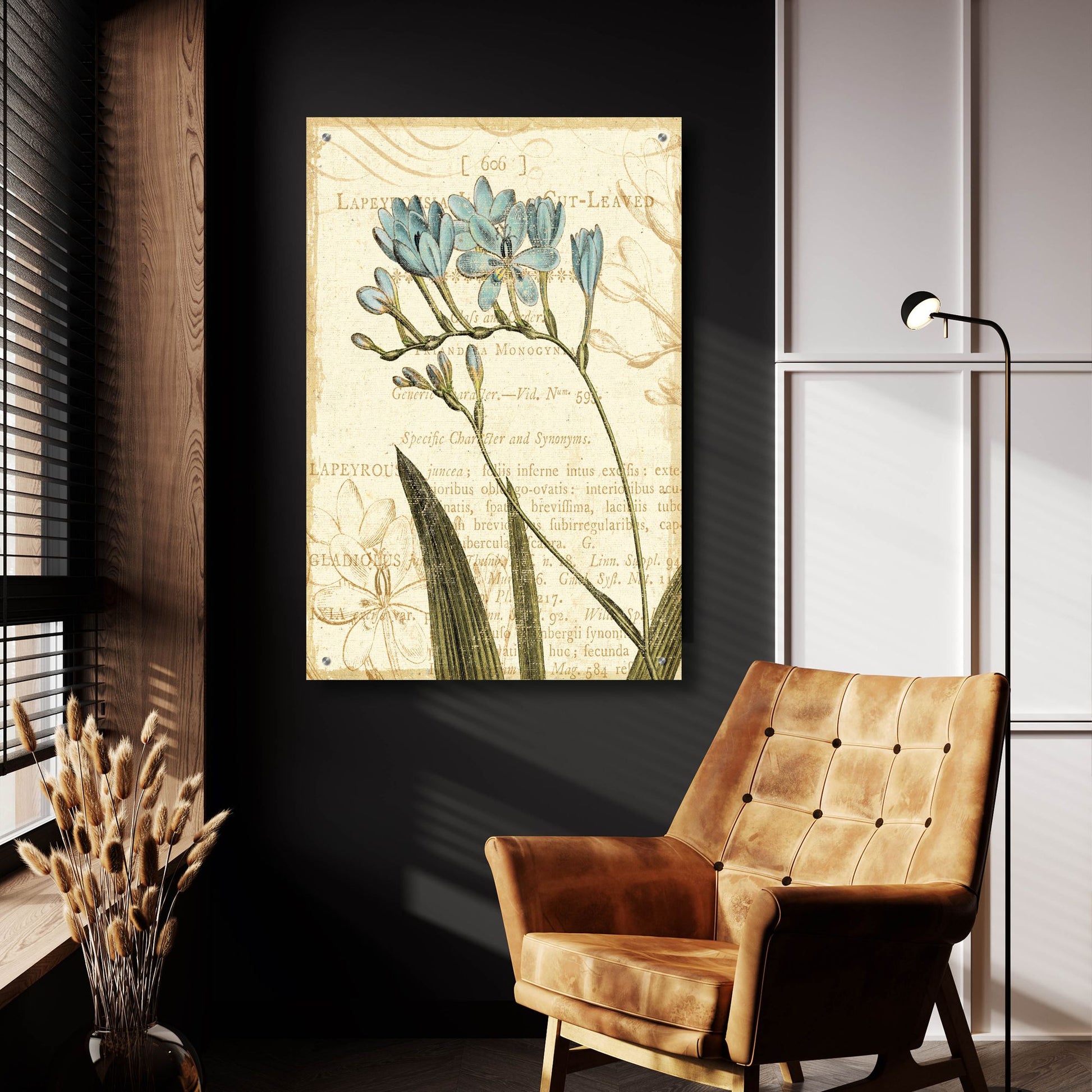 Epic Art 'Floral Studies III' by NBL Studio, Acrylic Glass Wall Art,24x36