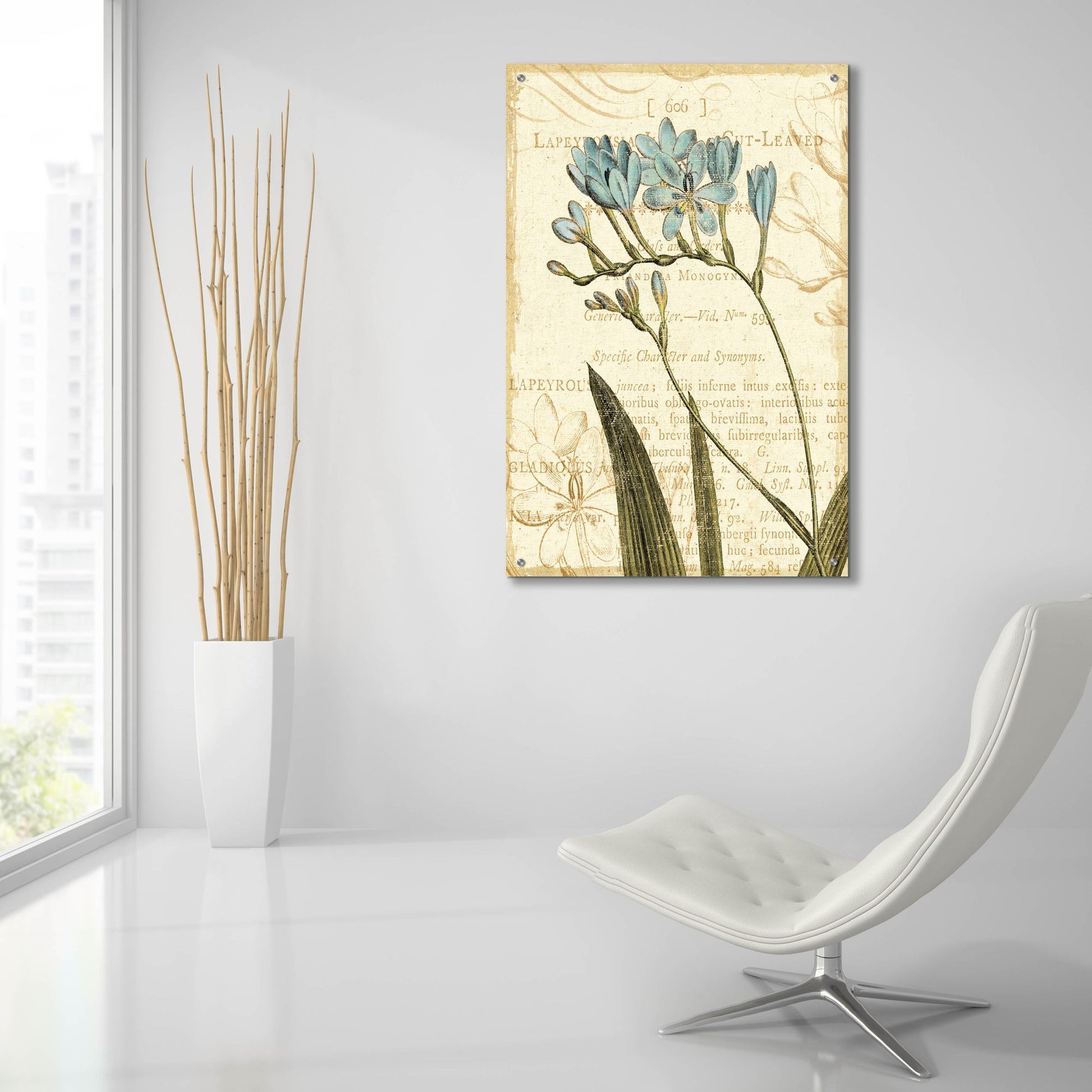 Epic Art 'Floral Studies III' by NBL Studio, Acrylic Glass Wall Art,24x36