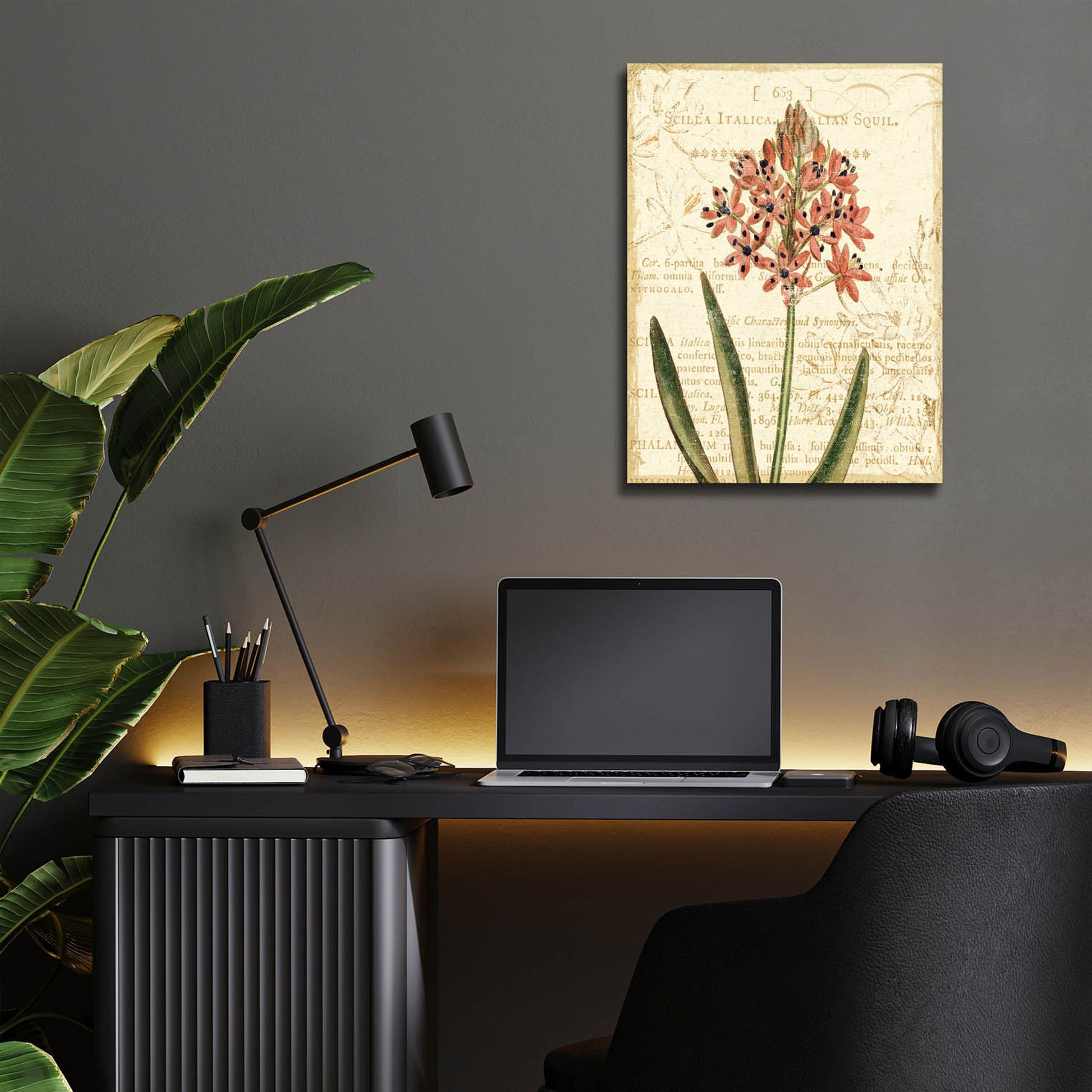 Epic Art 'Floral Studies IV' by NBL Studio, Acrylic Glass Wall Art,12x16