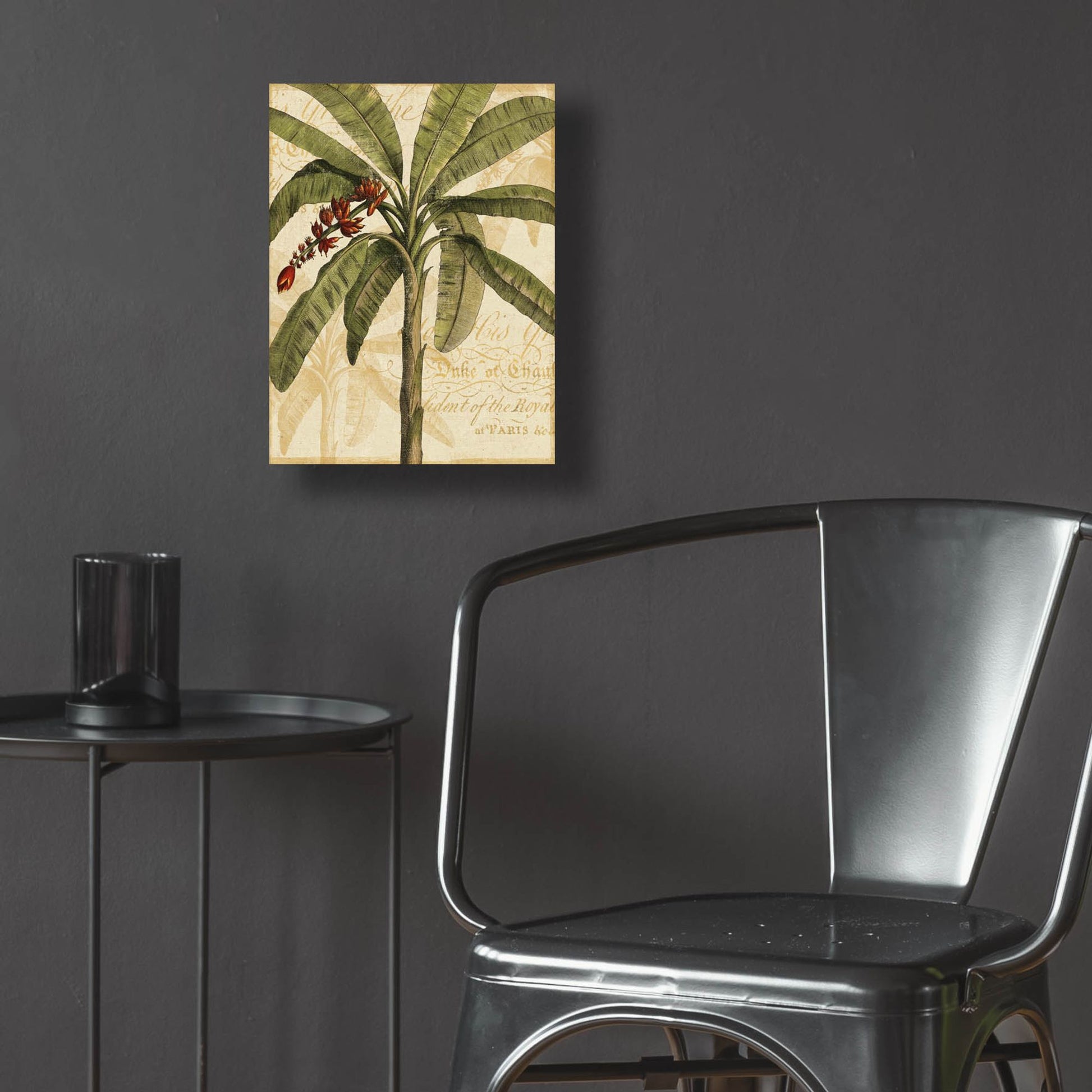 Epic Art 'Royal Palm I' by NBL Studio, Acrylic Glass Wall Art,12x16