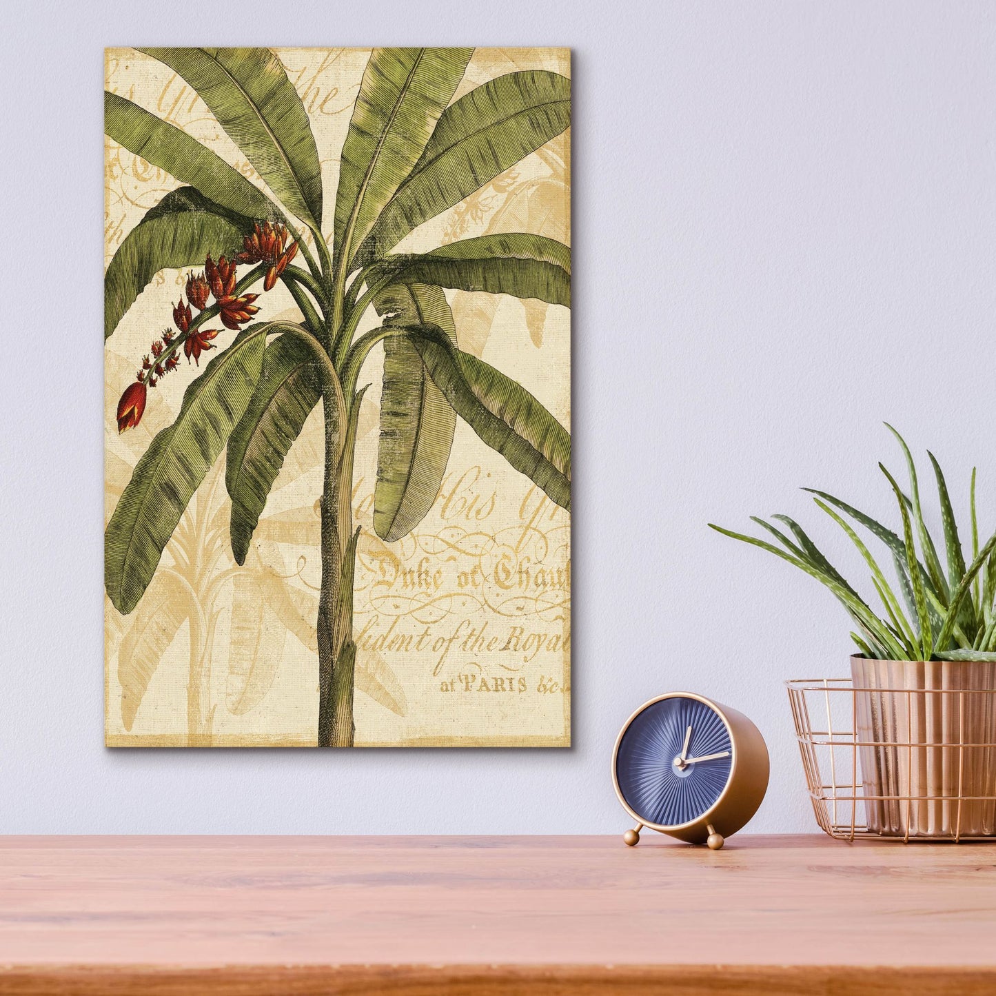 Epic Art 'Royal Palm I' by NBL Studio, Acrylic Glass Wall Art,12x16