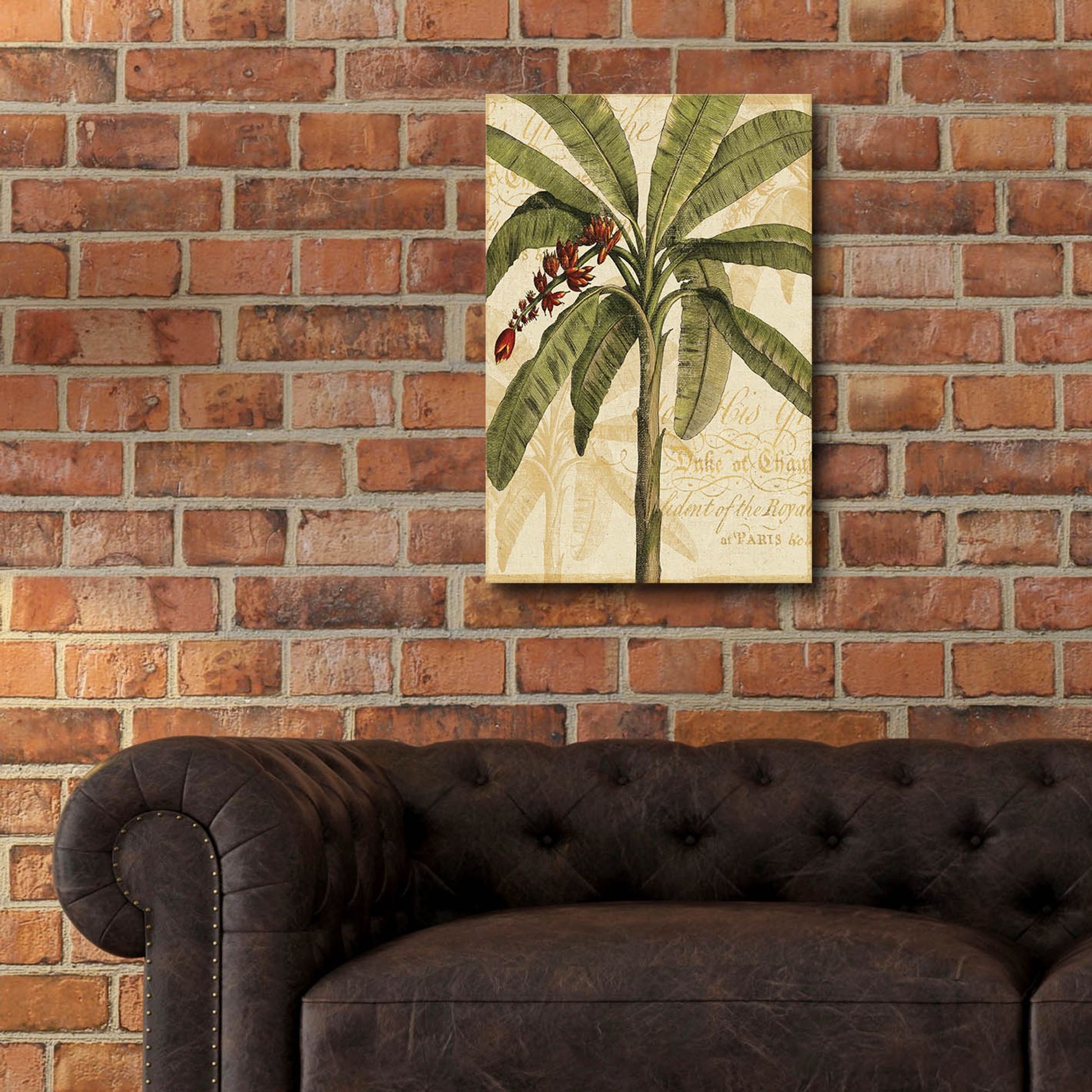 Epic Art 'Royal Palm I' by NBL Studio, Acrylic Glass Wall Art,16x24