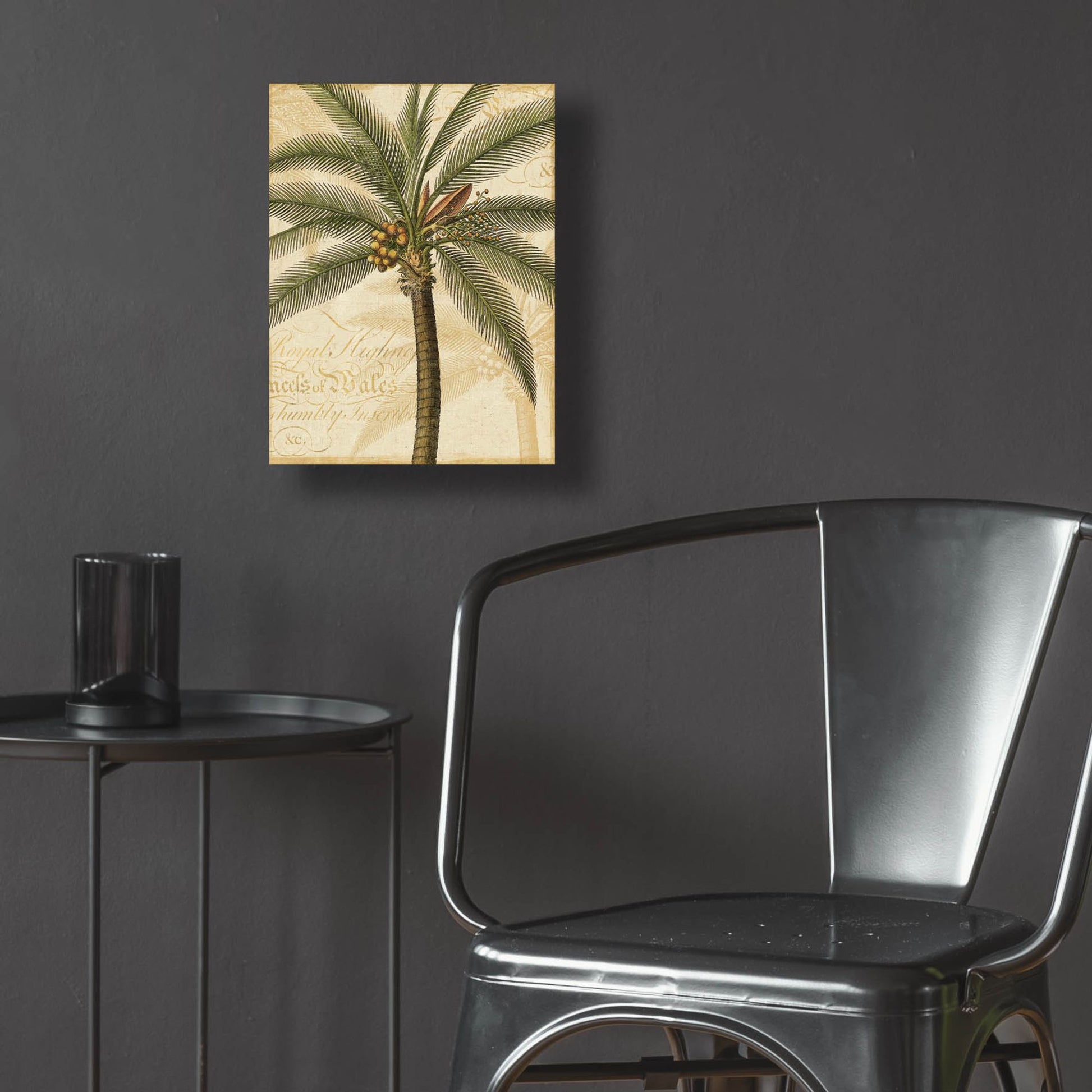 Epic Art 'Royal Palm II' by NBL Studio, Acrylic Glass Wall Art,12x16