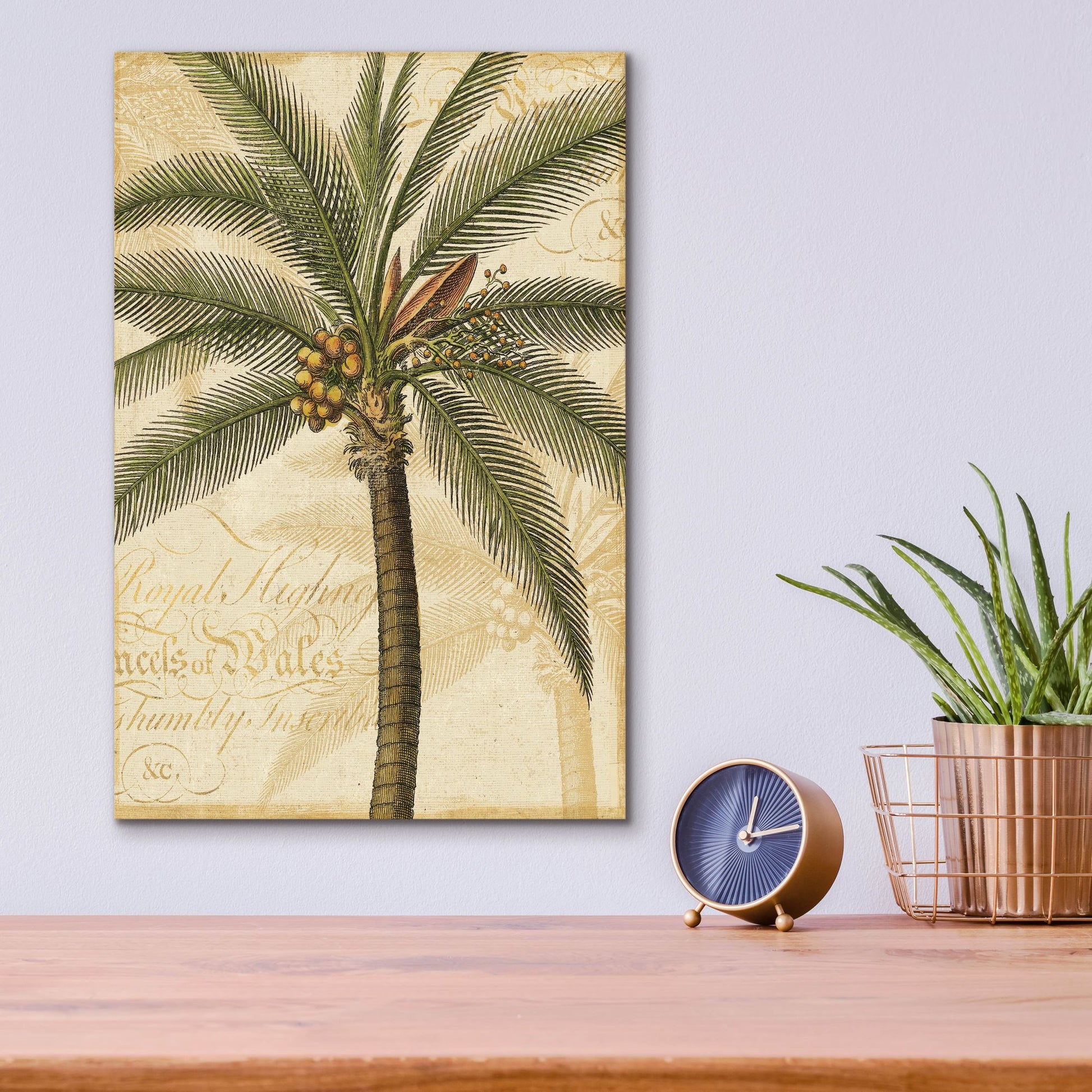 Epic Art 'Royal Palm II' by NBL Studio, Acrylic Glass Wall Art,12x16