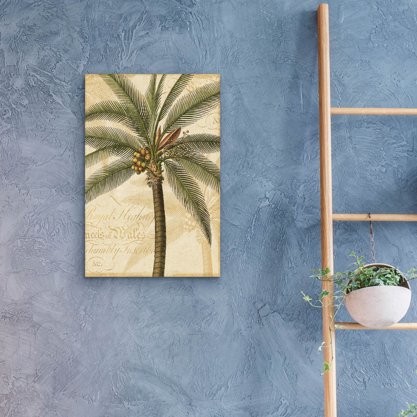 Epic Art 'Royal Palm II' by NBL Studio, Acrylic Glass Wall Art,16x24