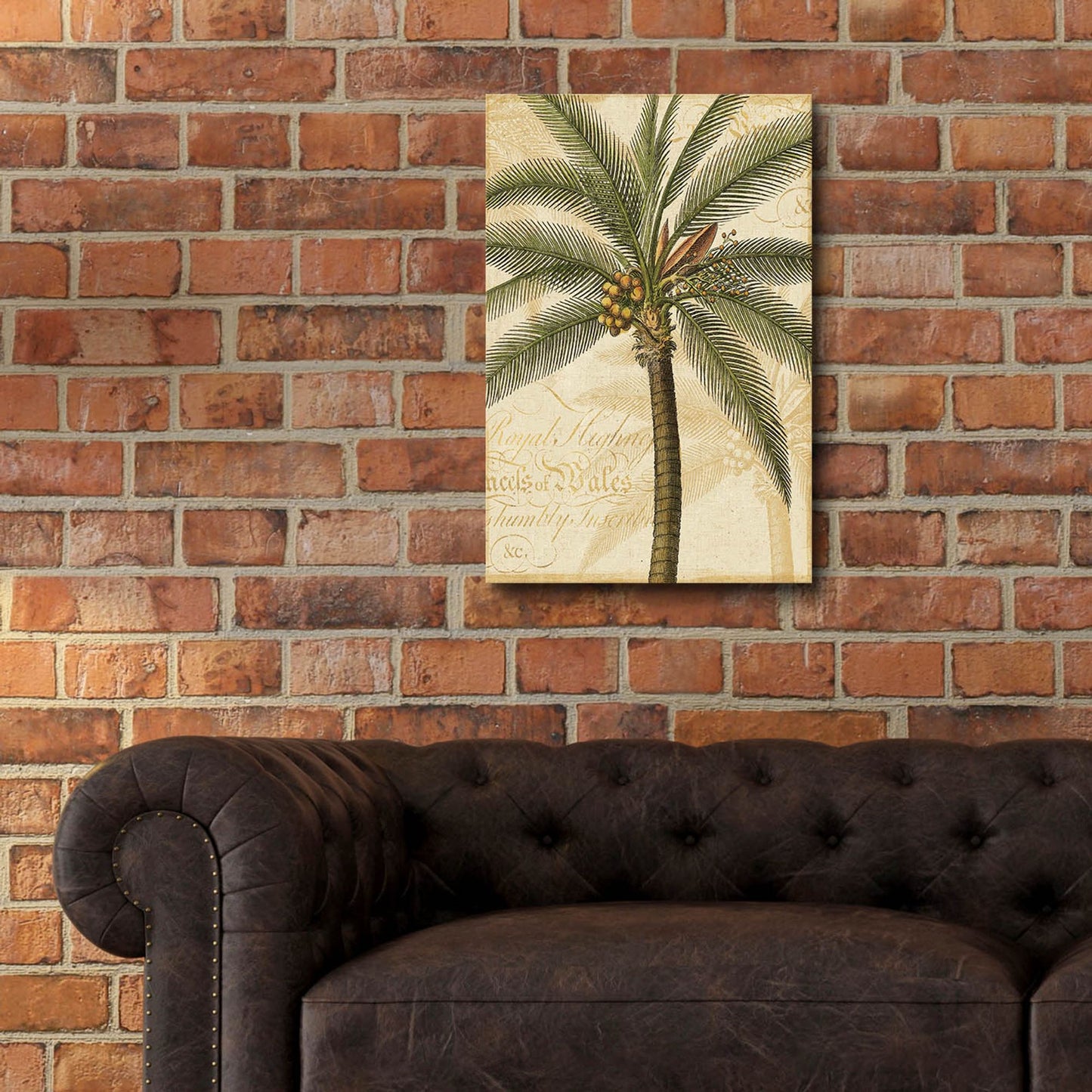 Epic Art 'Royal Palm II' by NBL Studio, Acrylic Glass Wall Art,16x24