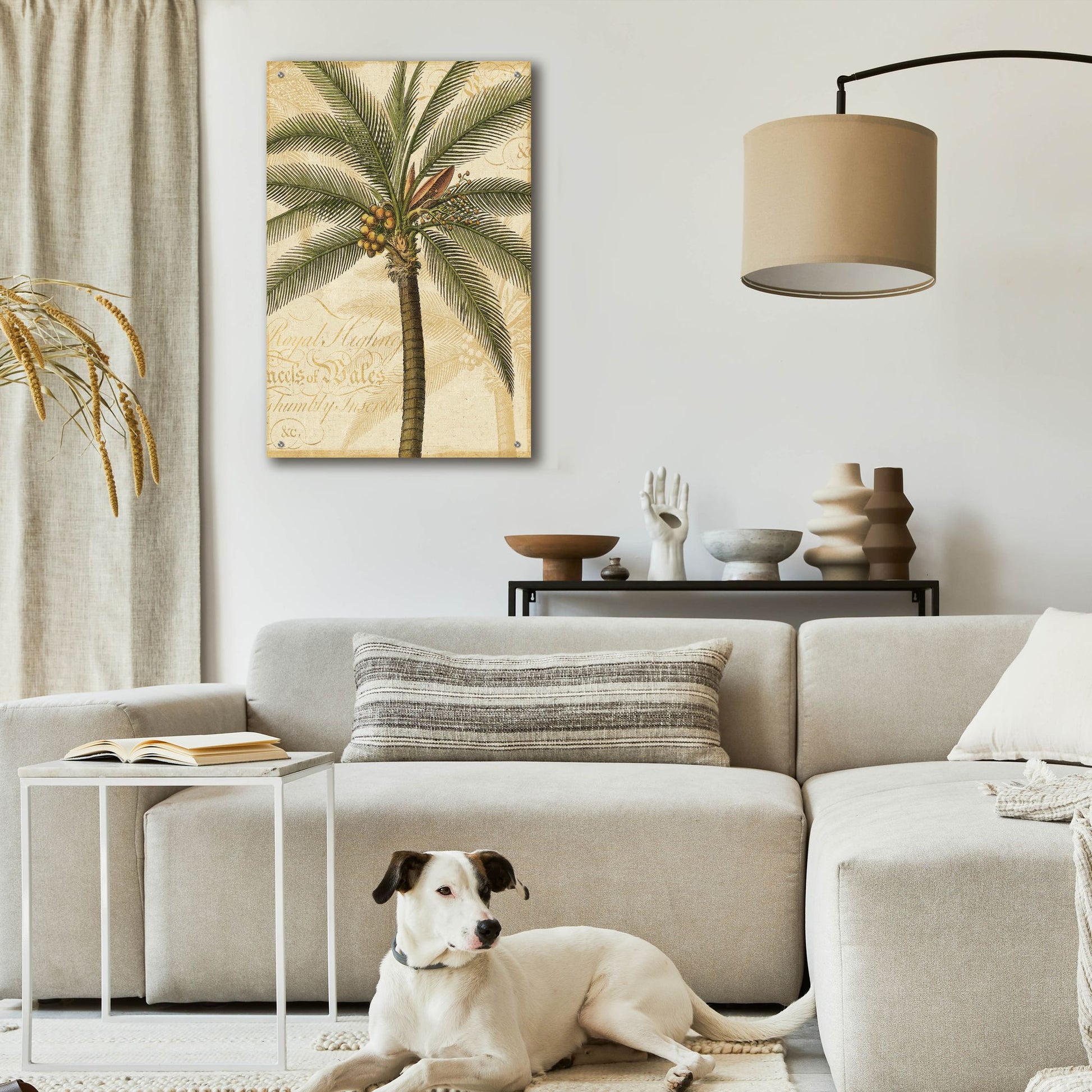 Epic Art 'Royal Palm II' by NBL Studio, Acrylic Glass Wall Art,24x36