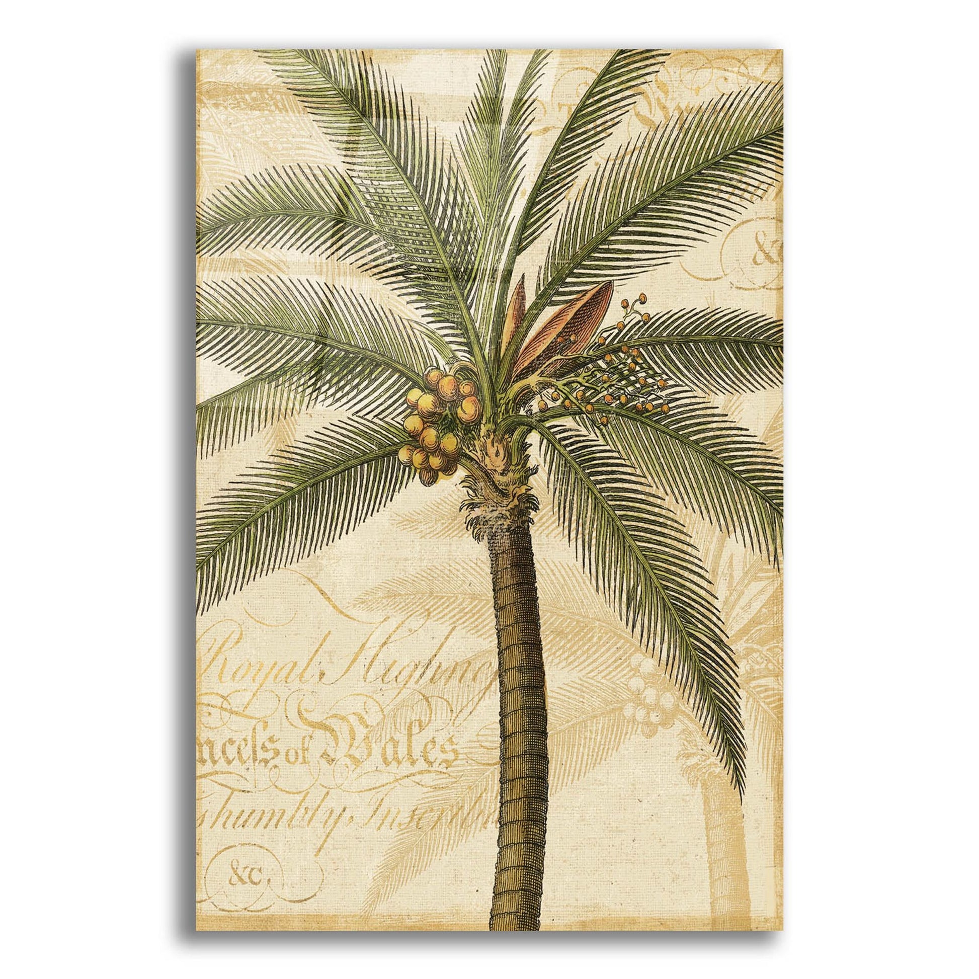 Epic Art 'Royal Palm II' by NBL Studio, Acrylic Glass Wall Art