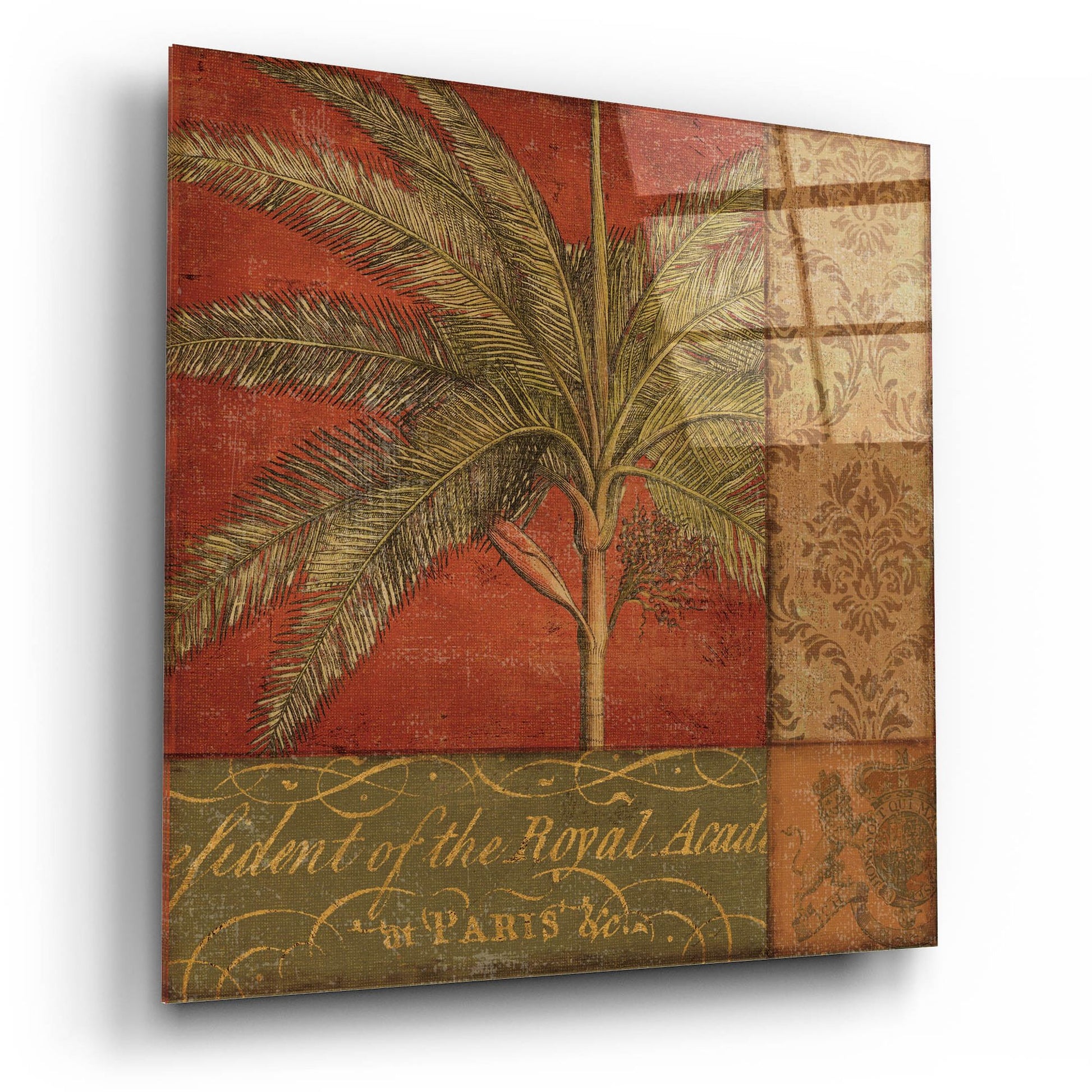 Epic Art 'Golden Palm II' by NBL Studio, Acrylic Glass Wall Art,12x12