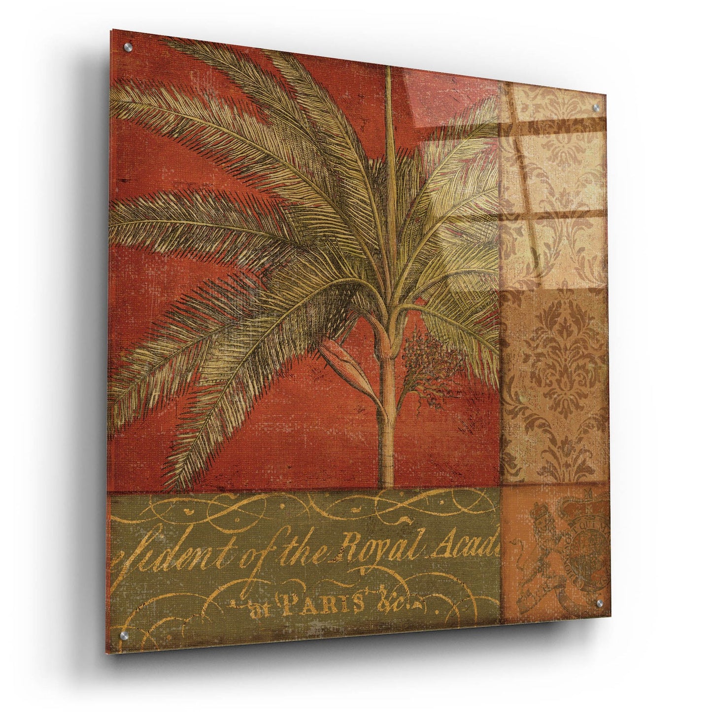 Epic Art 'Golden Palm II' by NBL Studio, Acrylic Glass Wall Art,36x36