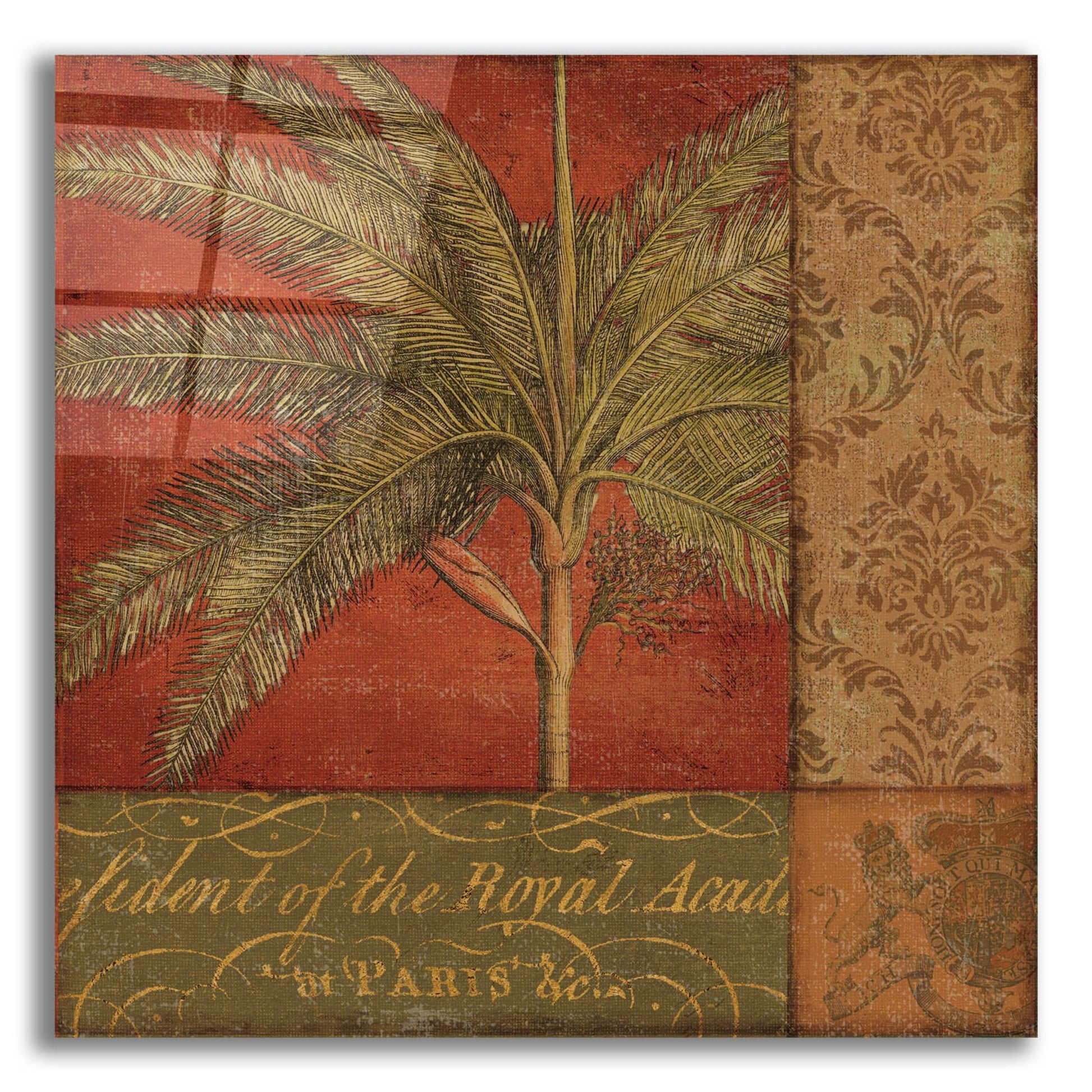 Epic Art 'Golden Palm II' by NBL Studio, Acrylic Glass Wall Art