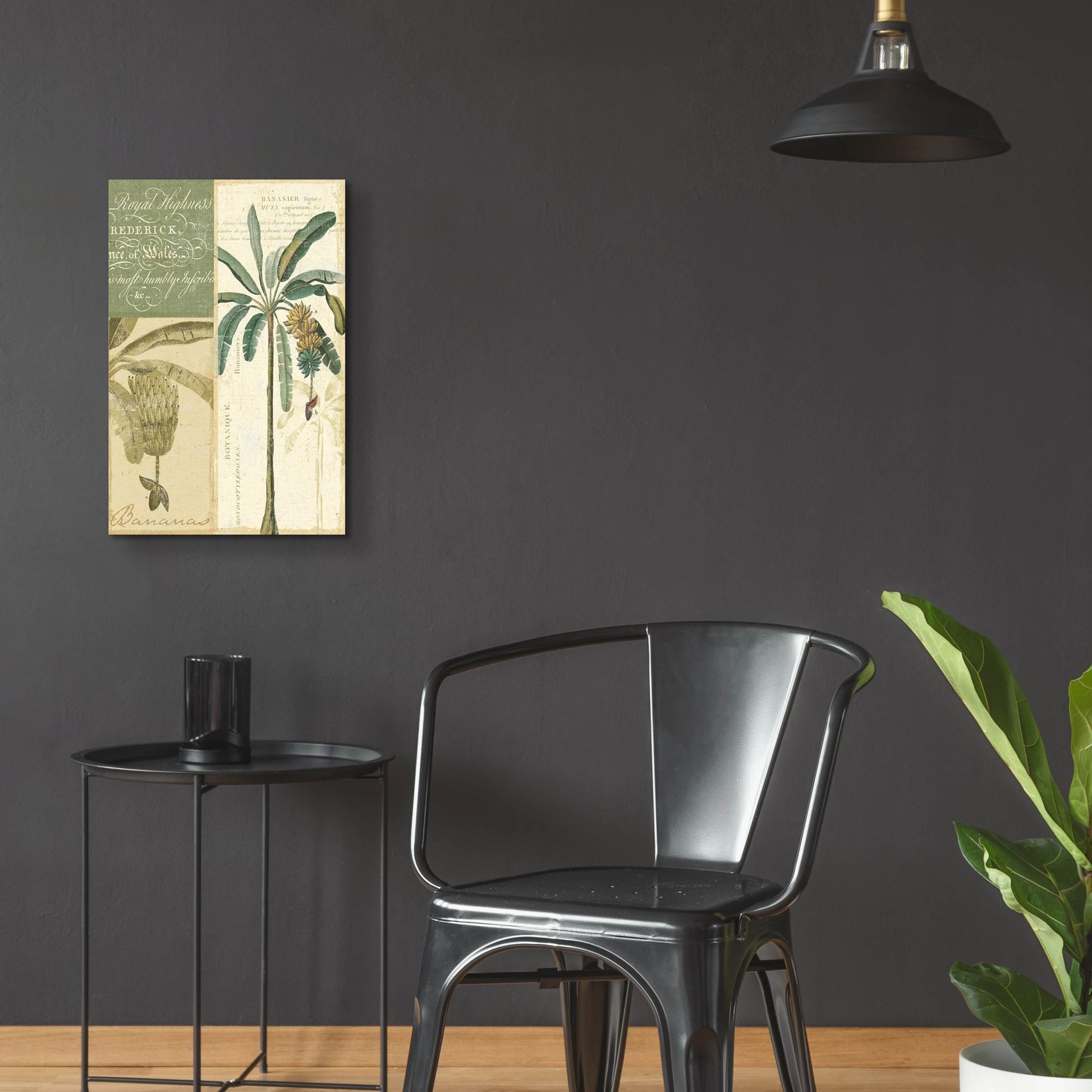 Epic Art 'Palm Study I' by NBL Studio, Acrylic Glass Wall Art,16x24