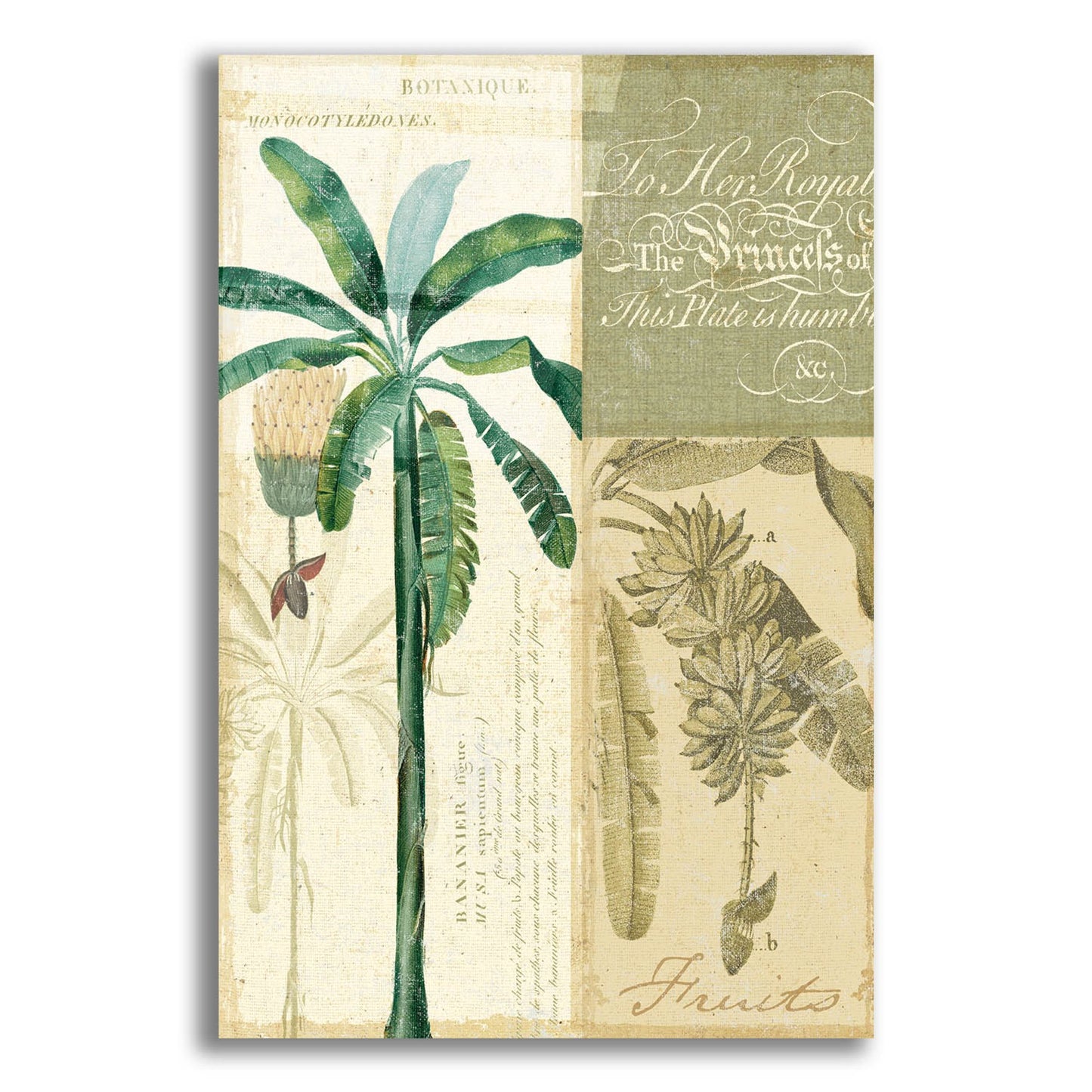 Epic Art 'Palm Study II' by NBL Studio, Acrylic Glass Wall Art