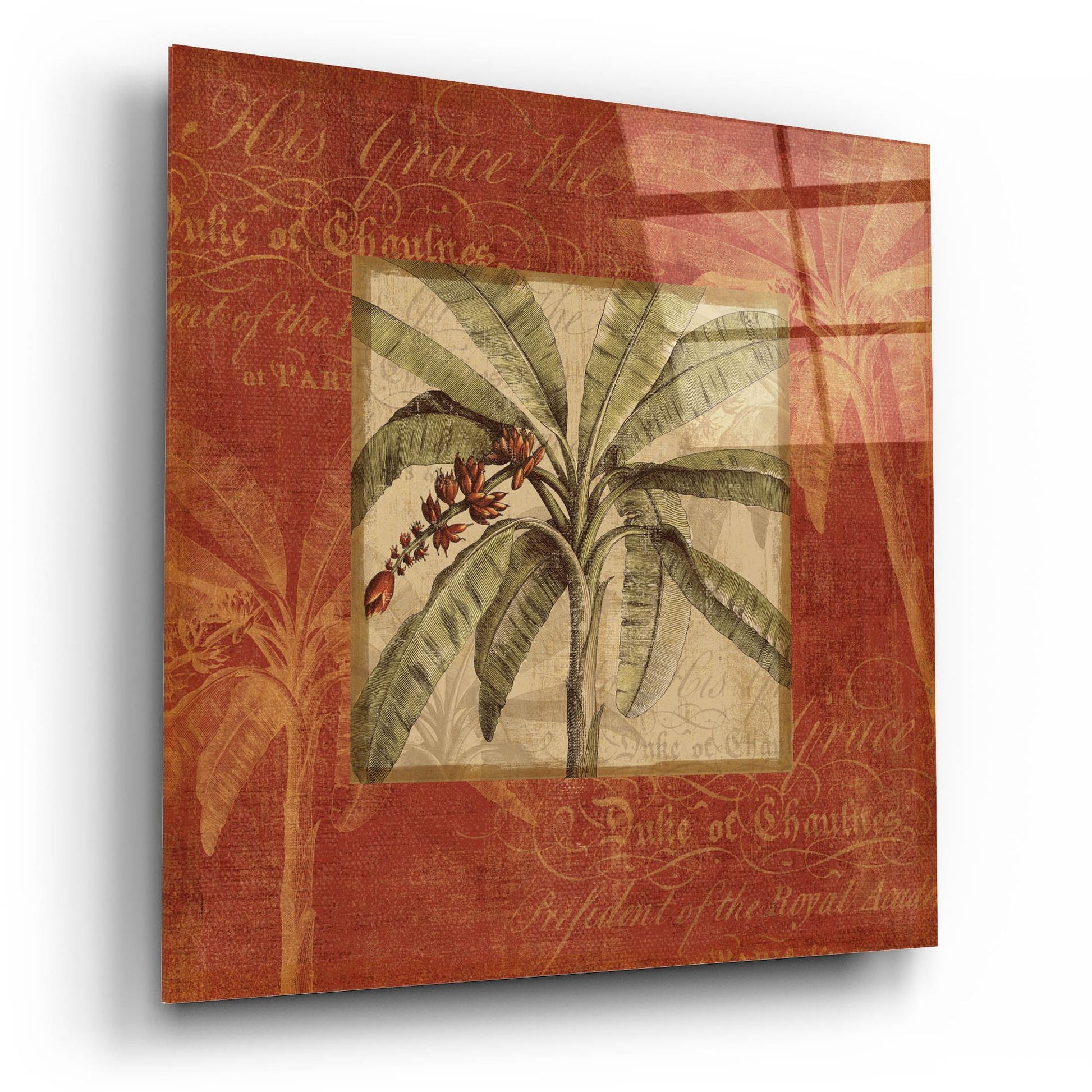 Epic Art 'Royal Palm III' by NBL Studio, Acrylic Glass Wall Art,12x12