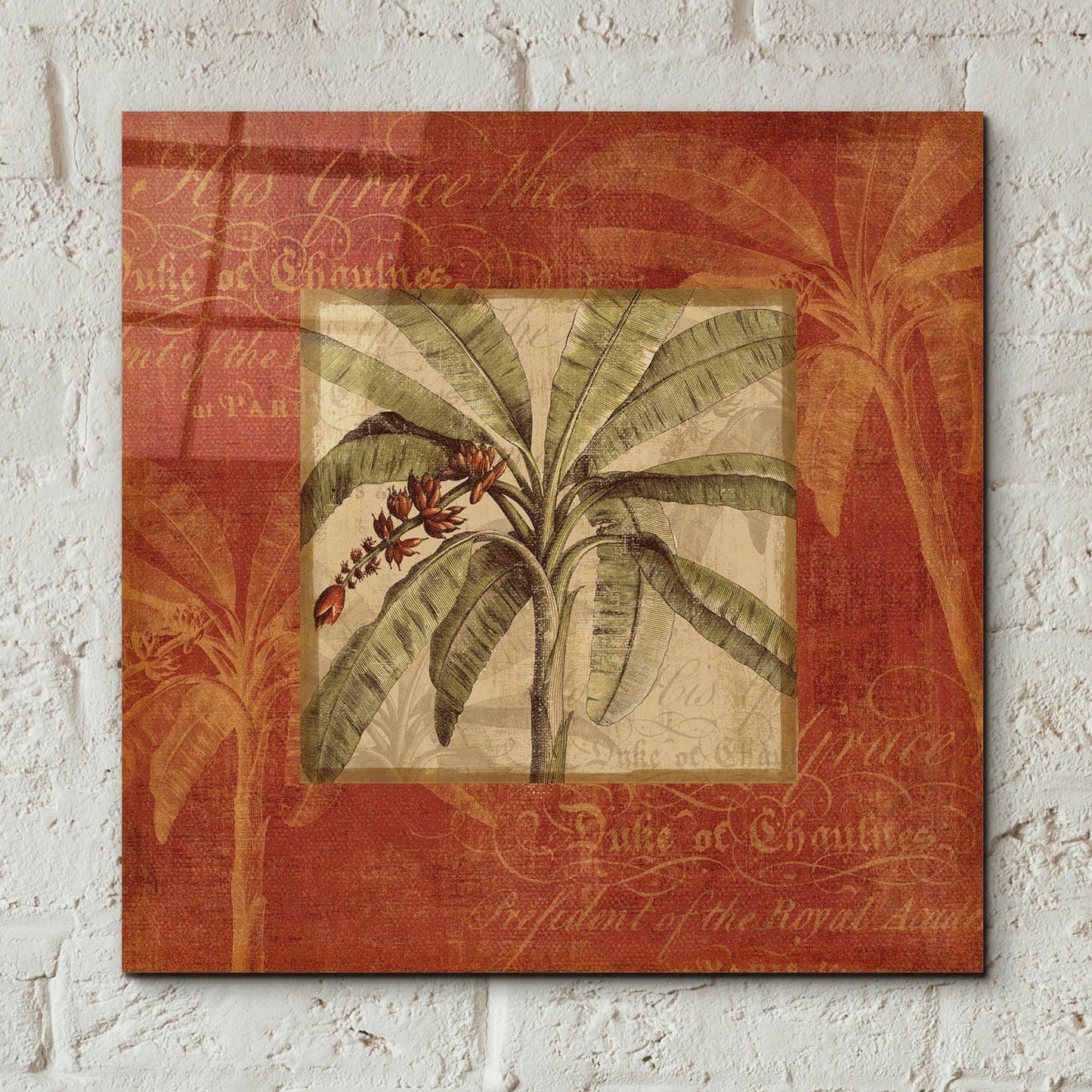 Epic Art 'Royal Palm III' by NBL Studio, Acrylic Glass Wall Art,12x12