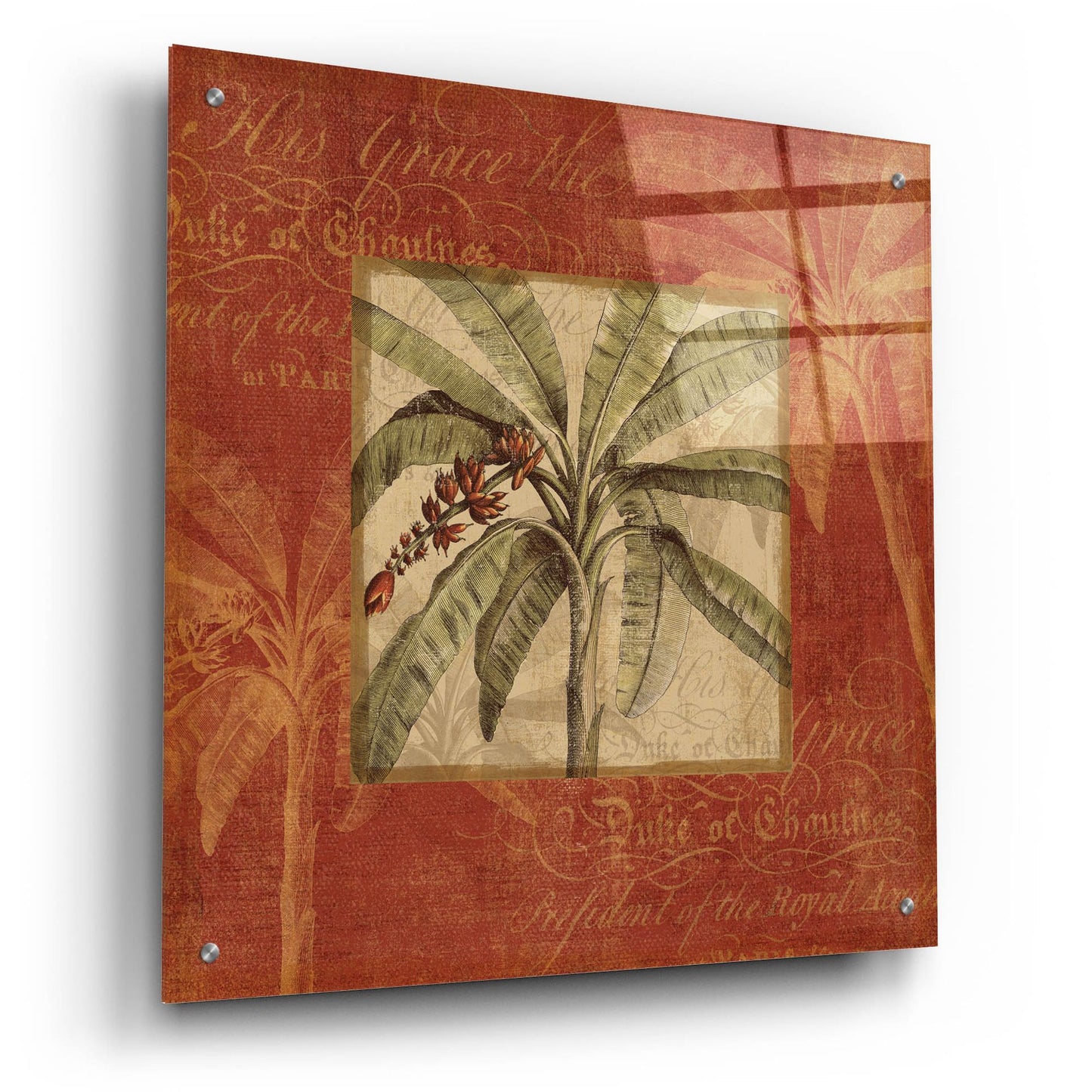 Epic Art 'Royal Palm III' by NBL Studio, Acrylic Glass Wall Art,24x24