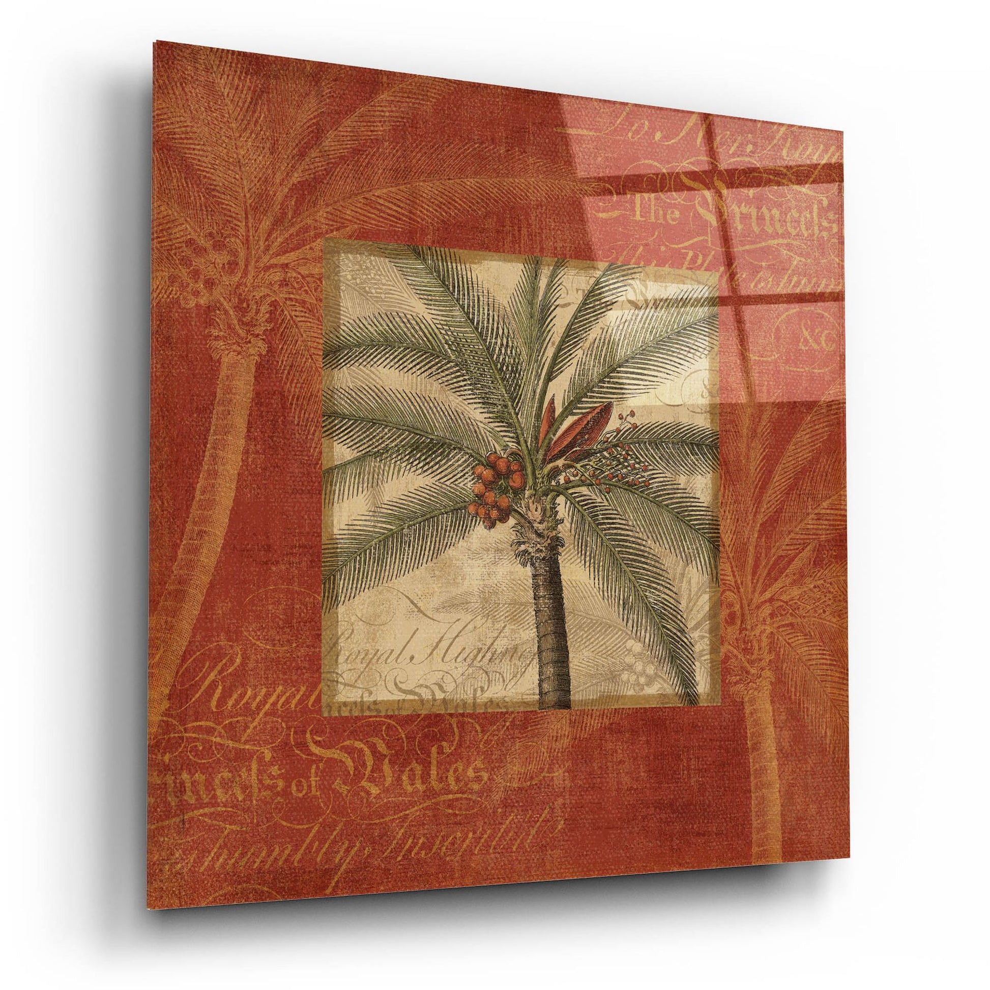 Epic Art 'Royal Palm IV' by NBL Studio, Acrylic Glass Wall Art,12x12