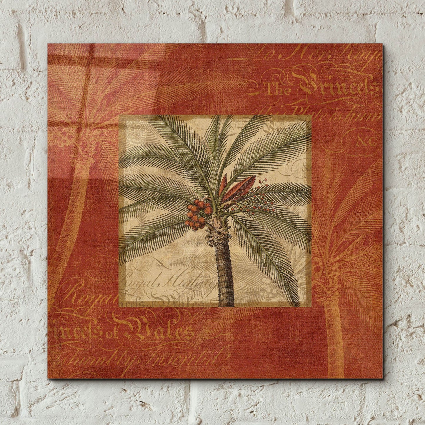 Epic Art 'Royal Palm IV' by NBL Studio, Acrylic Glass Wall Art,12x12