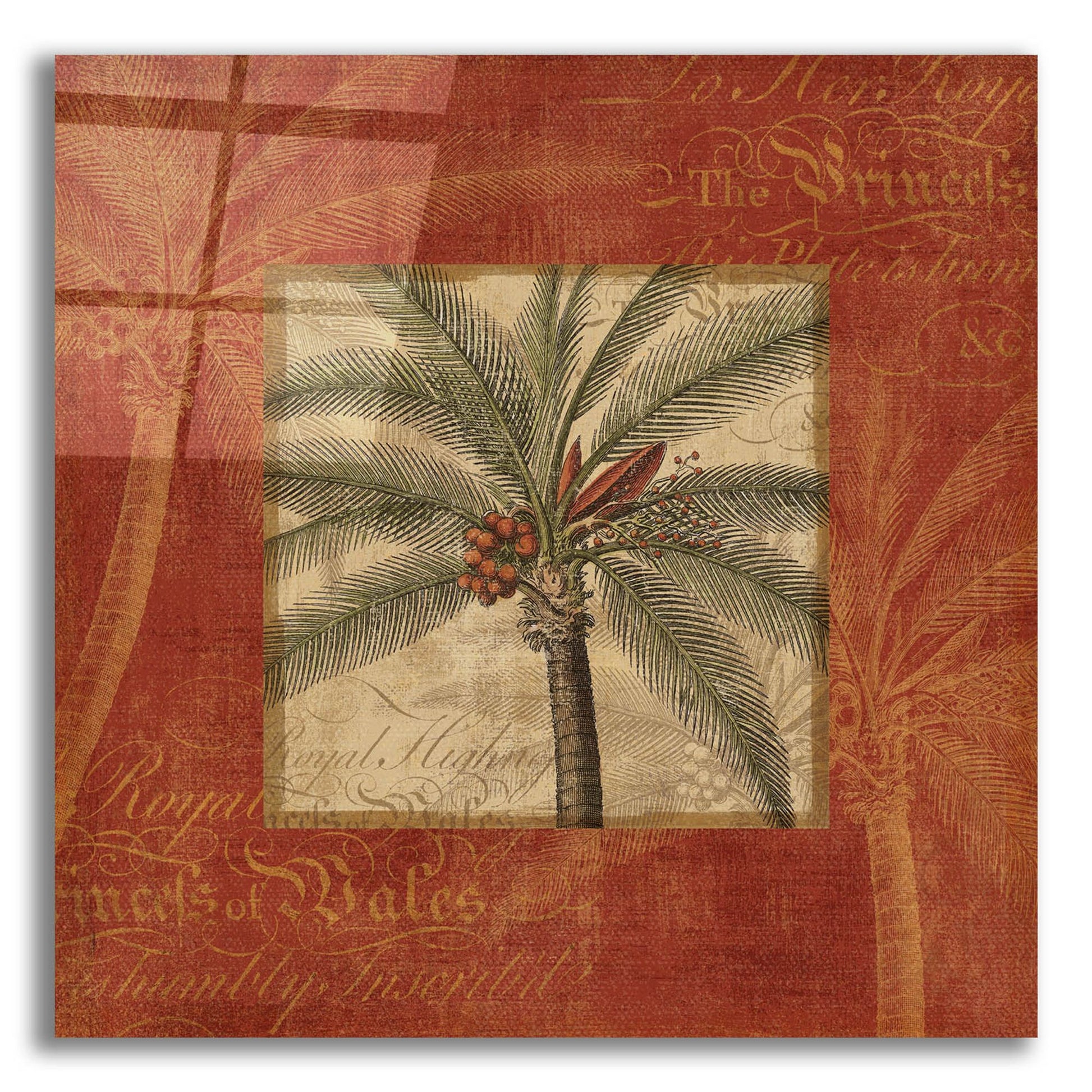 Epic Art 'Royal Palm IV' by NBL Studio, Acrylic Glass Wall Art