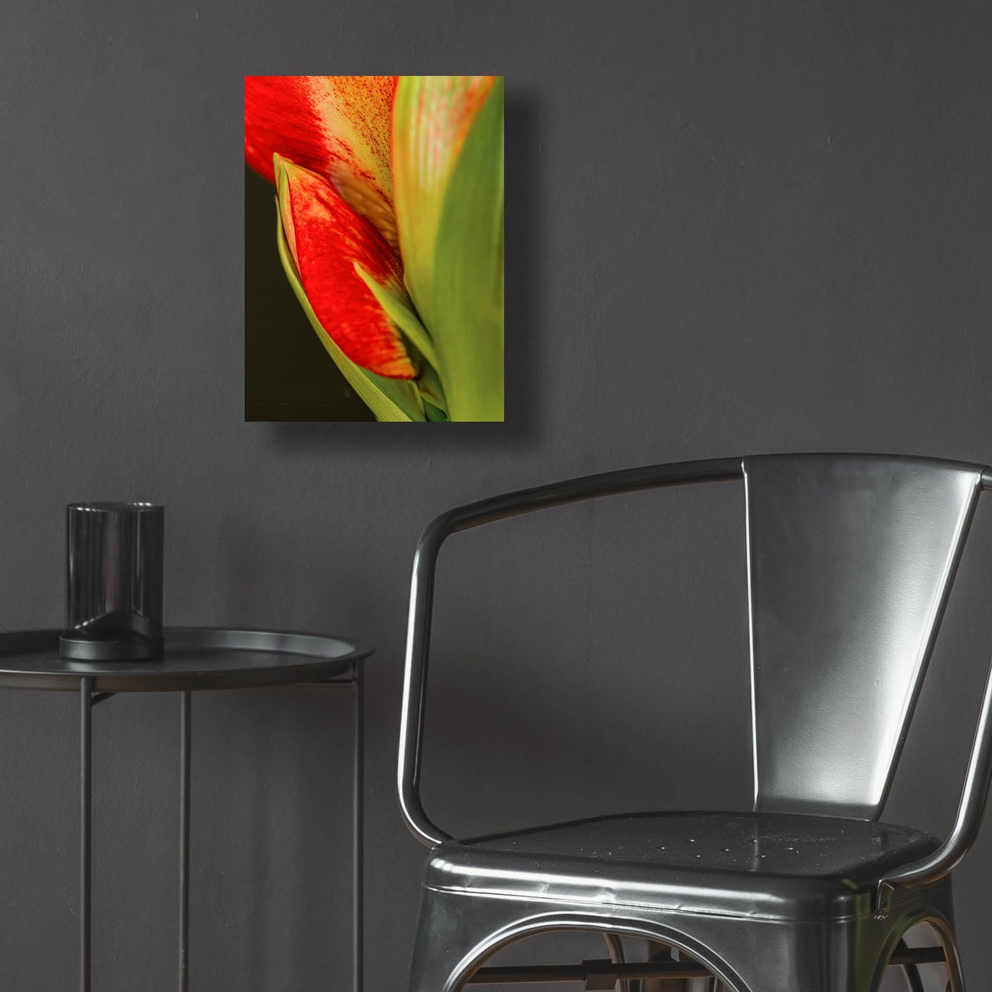 Epic Art 'Amaryllis' by Pamela Plummer, Acrylic Glass Wall Art,12x16