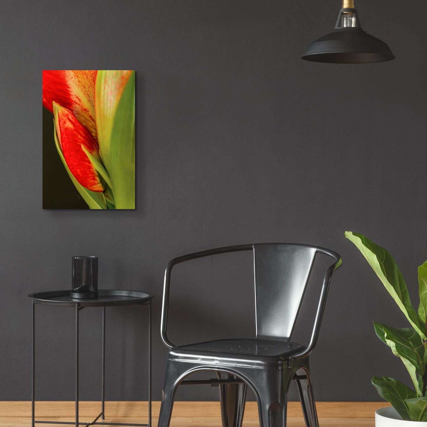 Epic Art 'Amaryllis' by Pamela Plummer, Acrylic Glass Wall Art,16x24