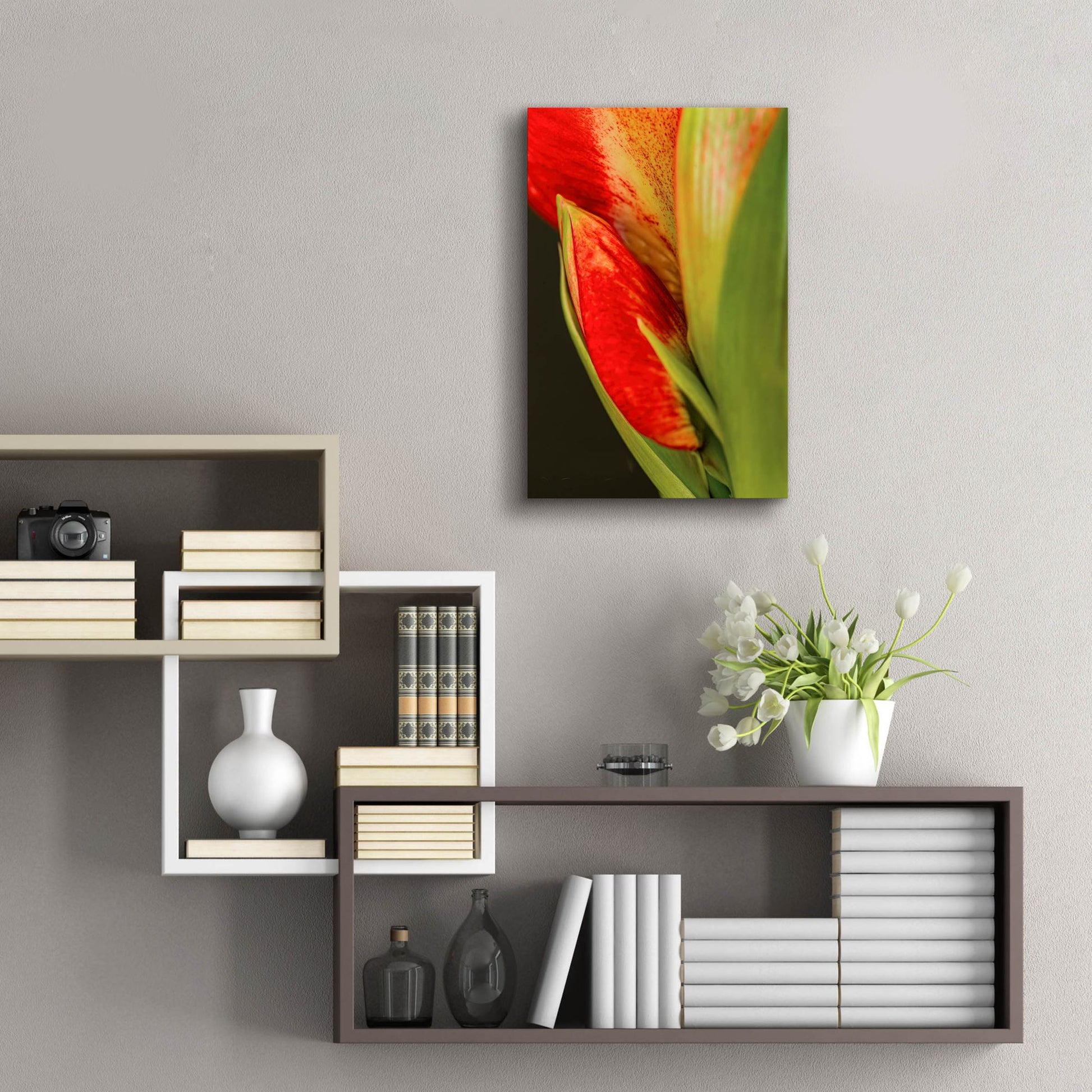 Epic Art 'Amaryllis' by Pamela Plummer, Acrylic Glass Wall Art,16x24