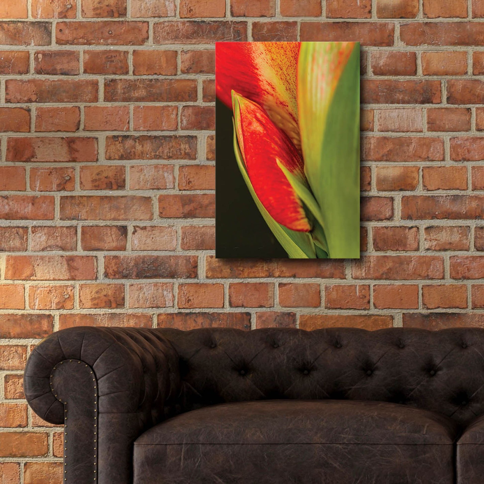 Epic Art 'Amaryllis' by Pamela Plummer, Acrylic Glass Wall Art,16x24