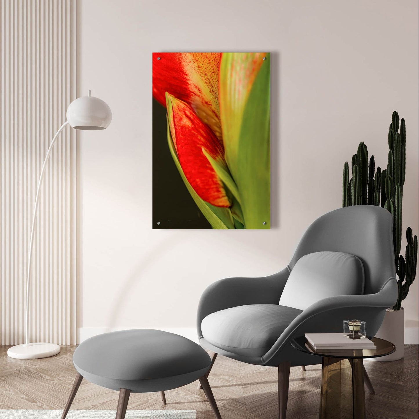 Epic Art 'Amaryllis' by Pamela Plummer, Acrylic Glass Wall Art,24x36