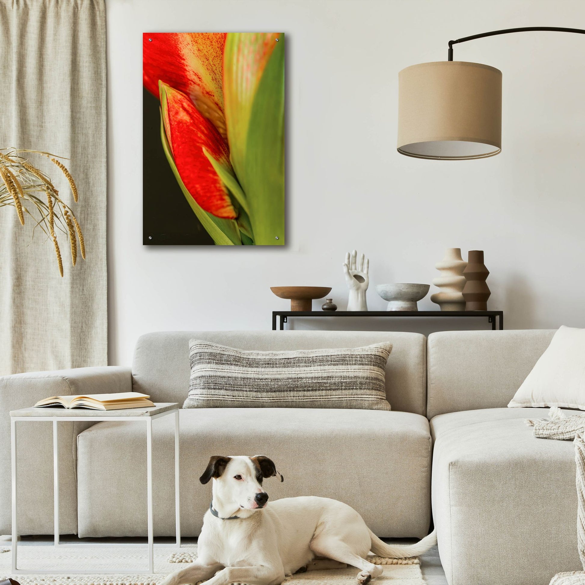 Epic Art 'Amaryllis' by Pamela Plummer, Acrylic Glass Wall Art,24x36