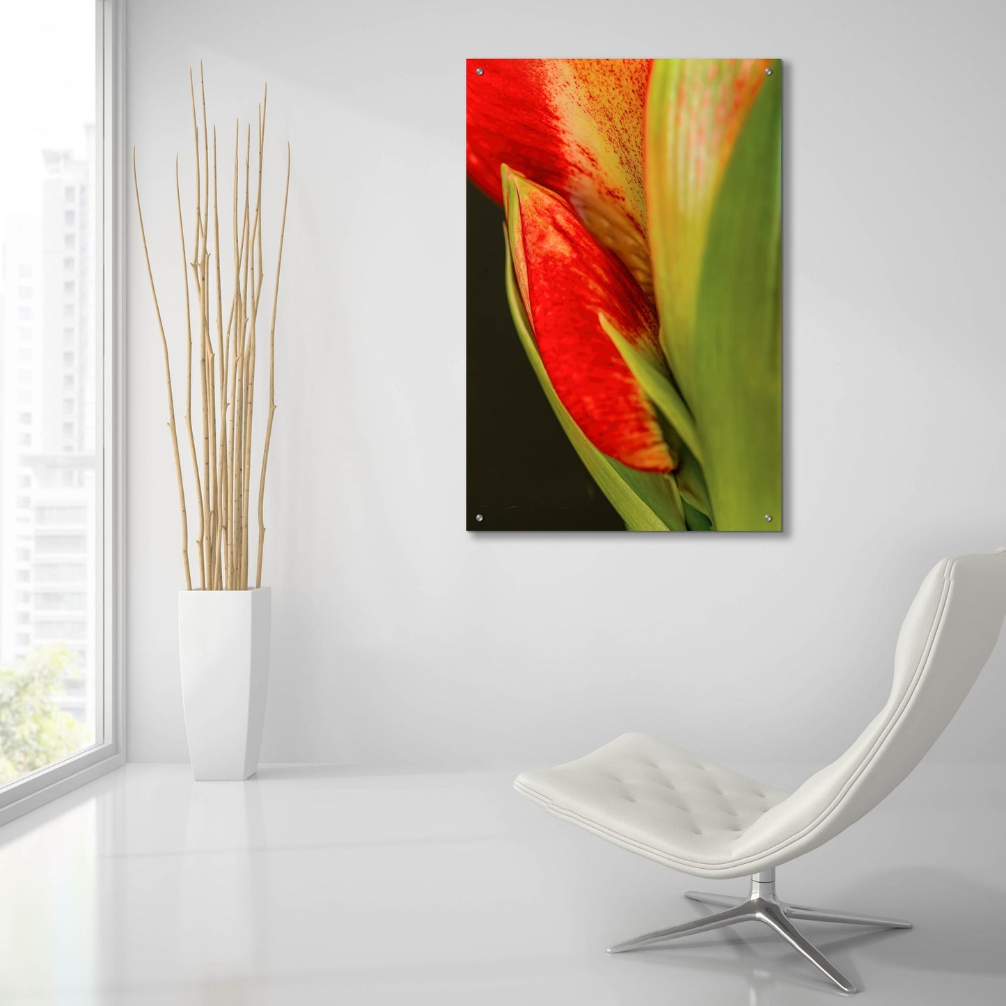 Epic Art 'Amaryllis' by Pamela Plummer, Acrylic Glass Wall Art,24x36