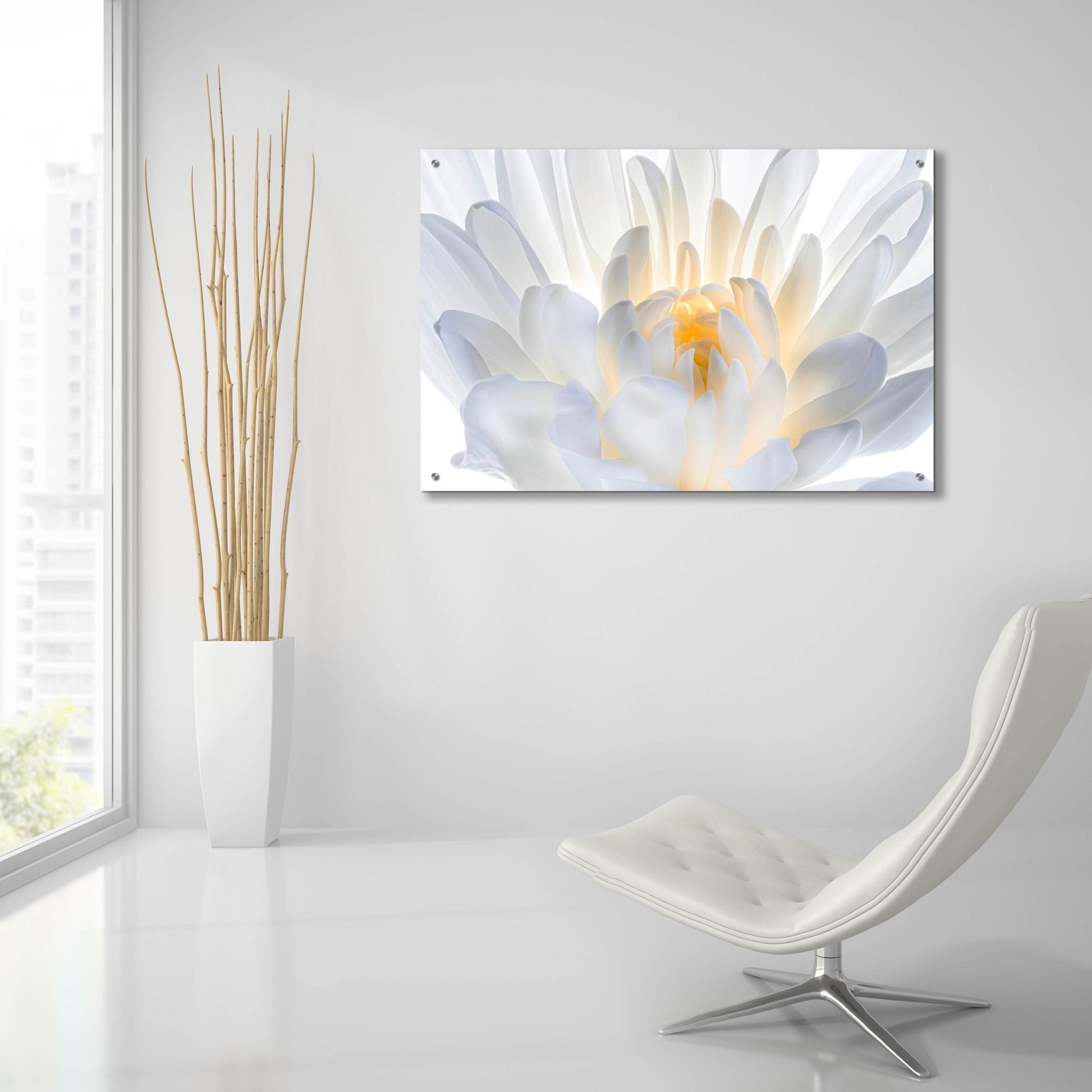 Epic Art 'Angle Wings' by Pamela Plummer, Acrylic Glass Wall Art,36x24