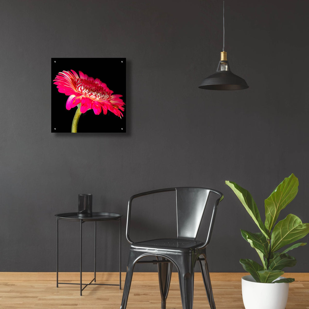 Epic Art 'Awakening' by Pamela Plummer, Acrylic Glass Wall Art,24x24